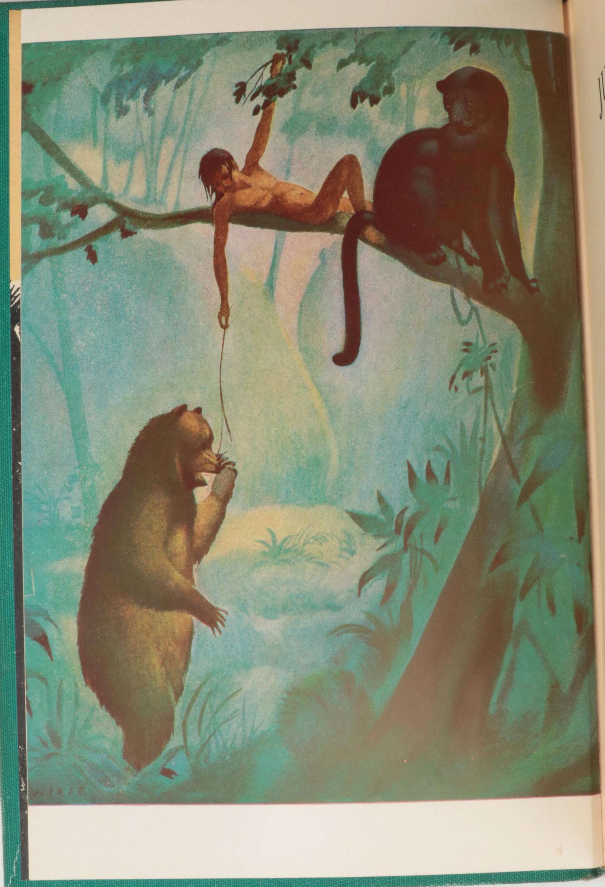 Illustrated "The Secret Garden" by Frances Hodgson Burnett and More Books