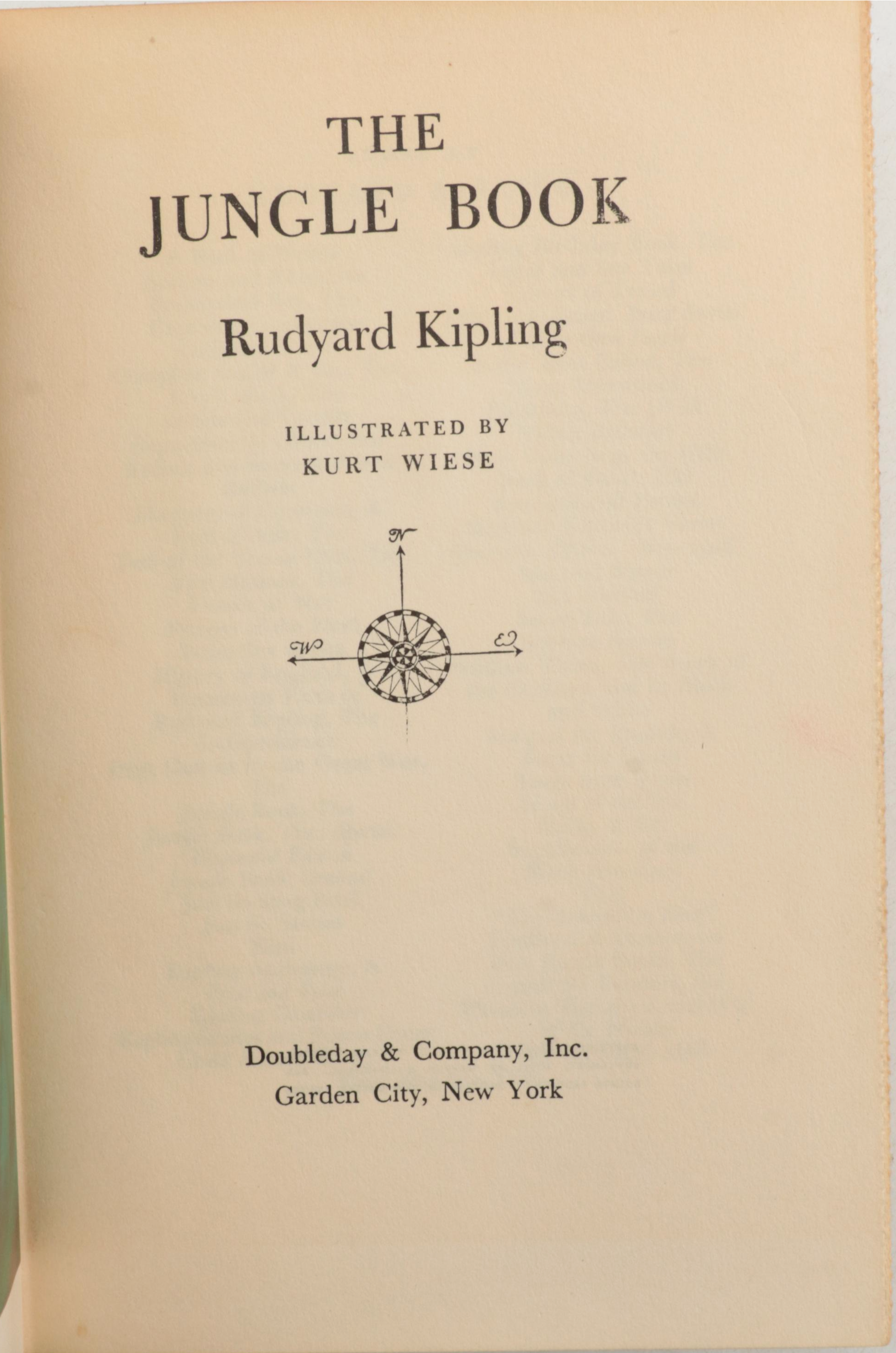 Illustrated "The Secret Garden" by Frances Hodgson Burnett and More Books