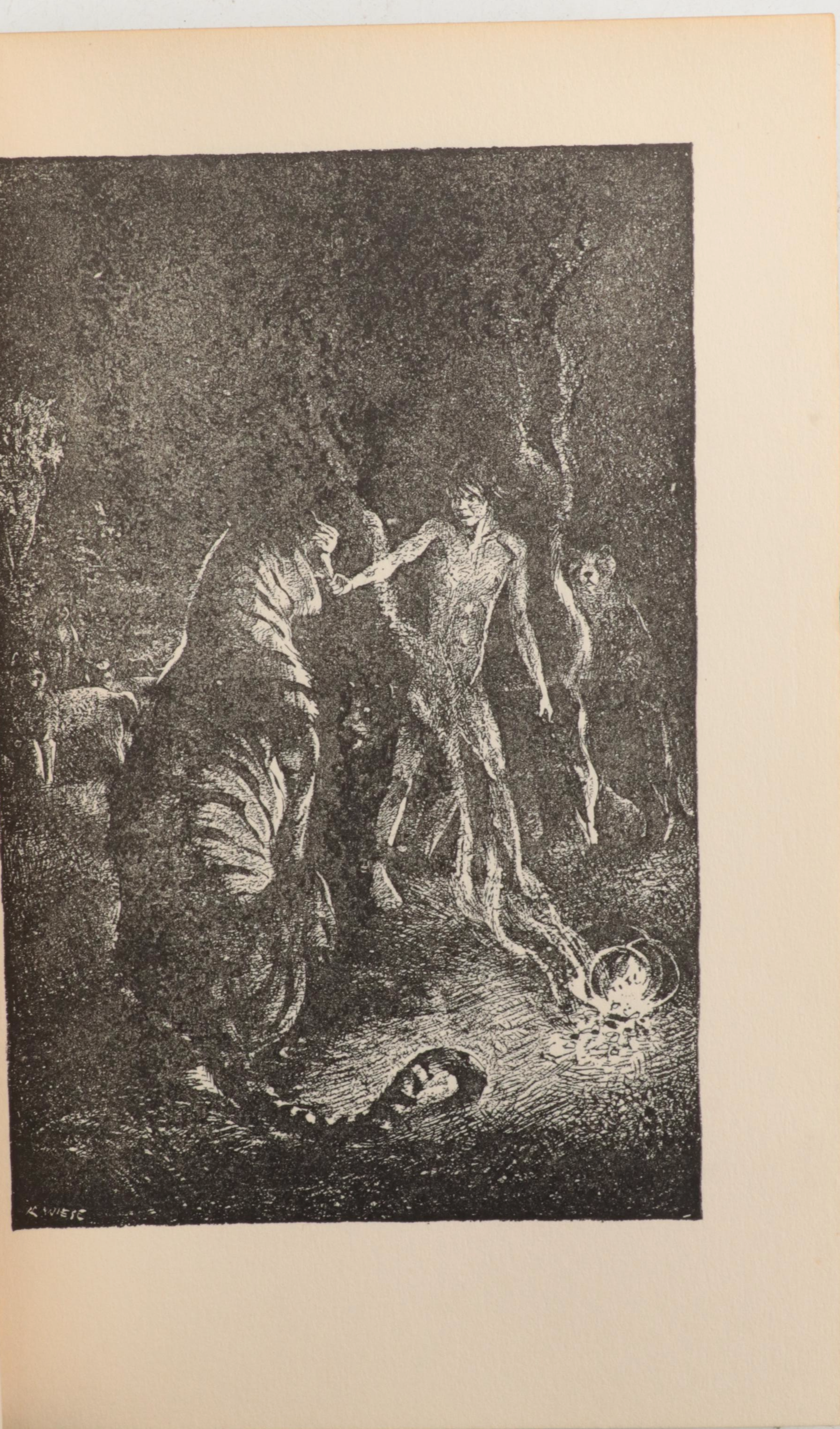 Illustrated "The Secret Garden" by Frances Hodgson Burnett and More Books