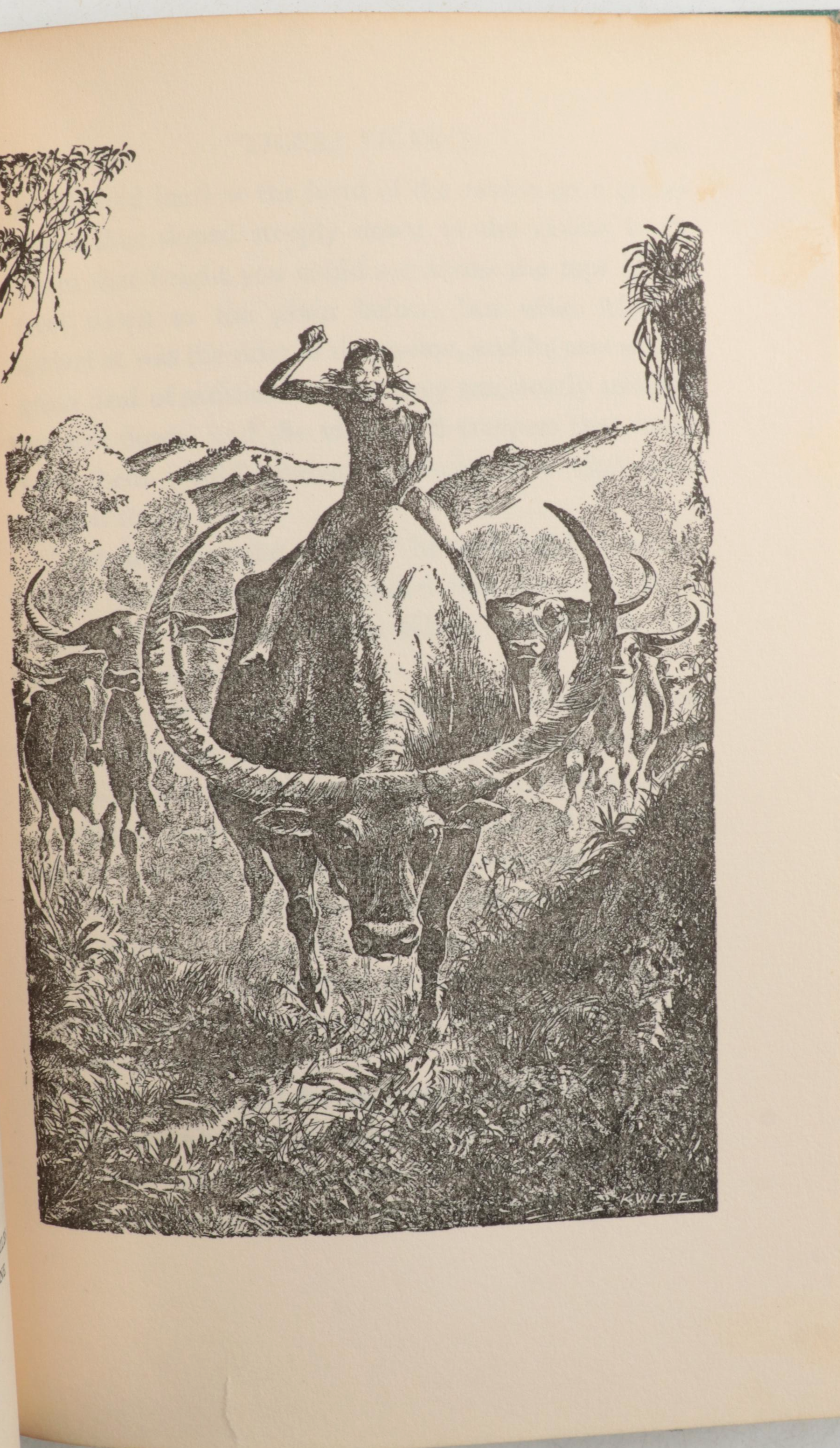 Illustrated "The Secret Garden" by Frances Hodgson Burnett and More Books