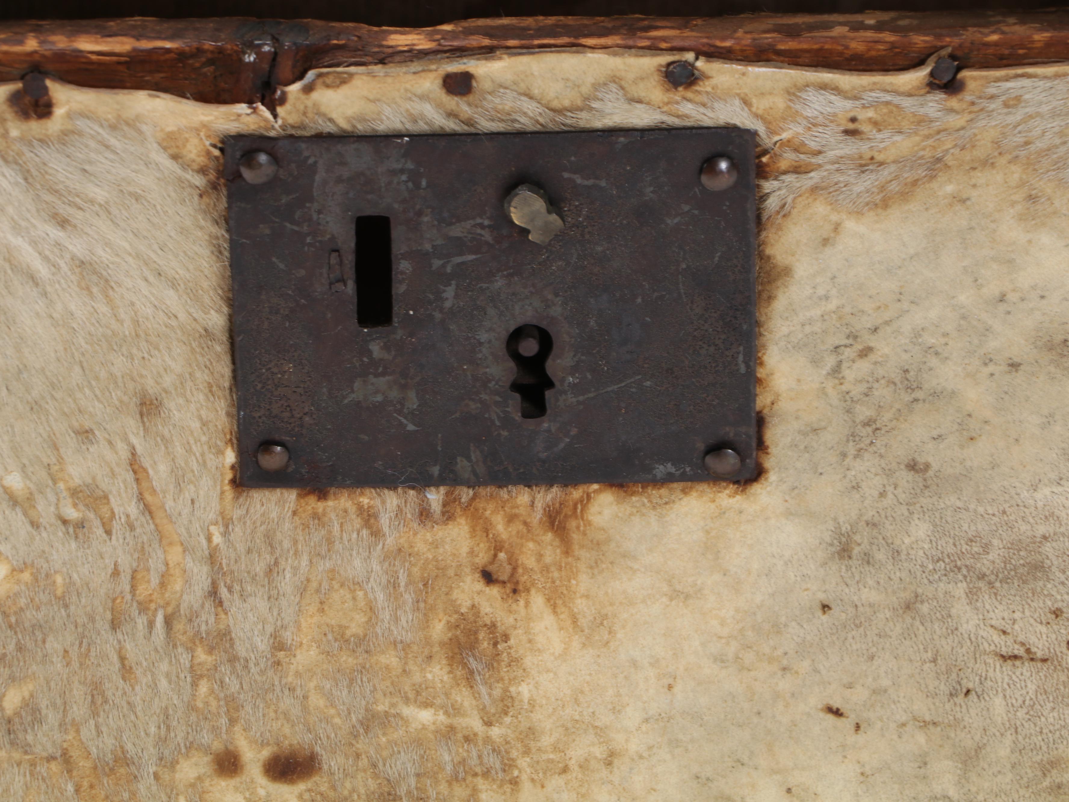 European Hide Covered Storage Trunk, Circa 1800