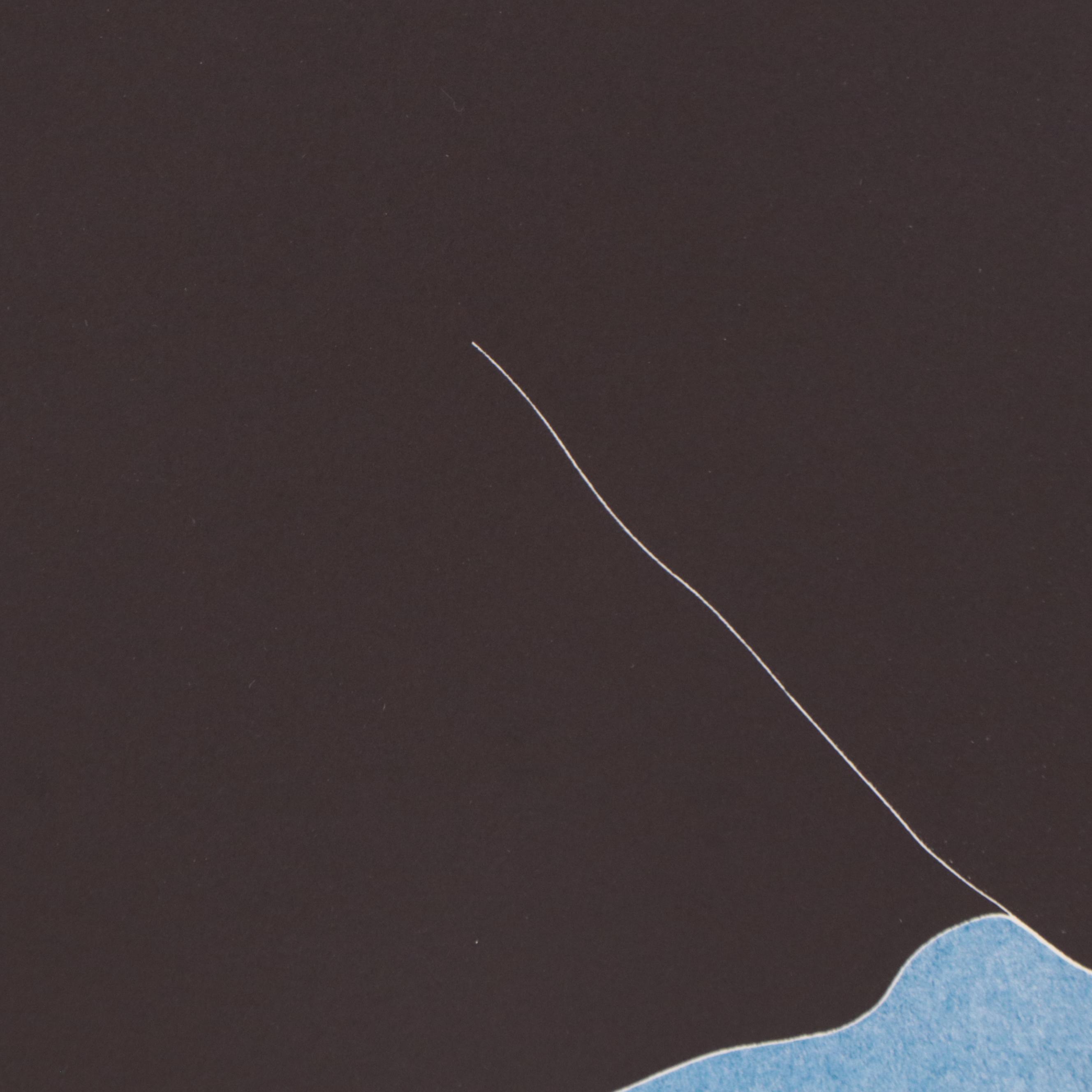 Thom De Jong Etching With Aquatint of Seated Figure "Loves Me...Loves Me Not..."