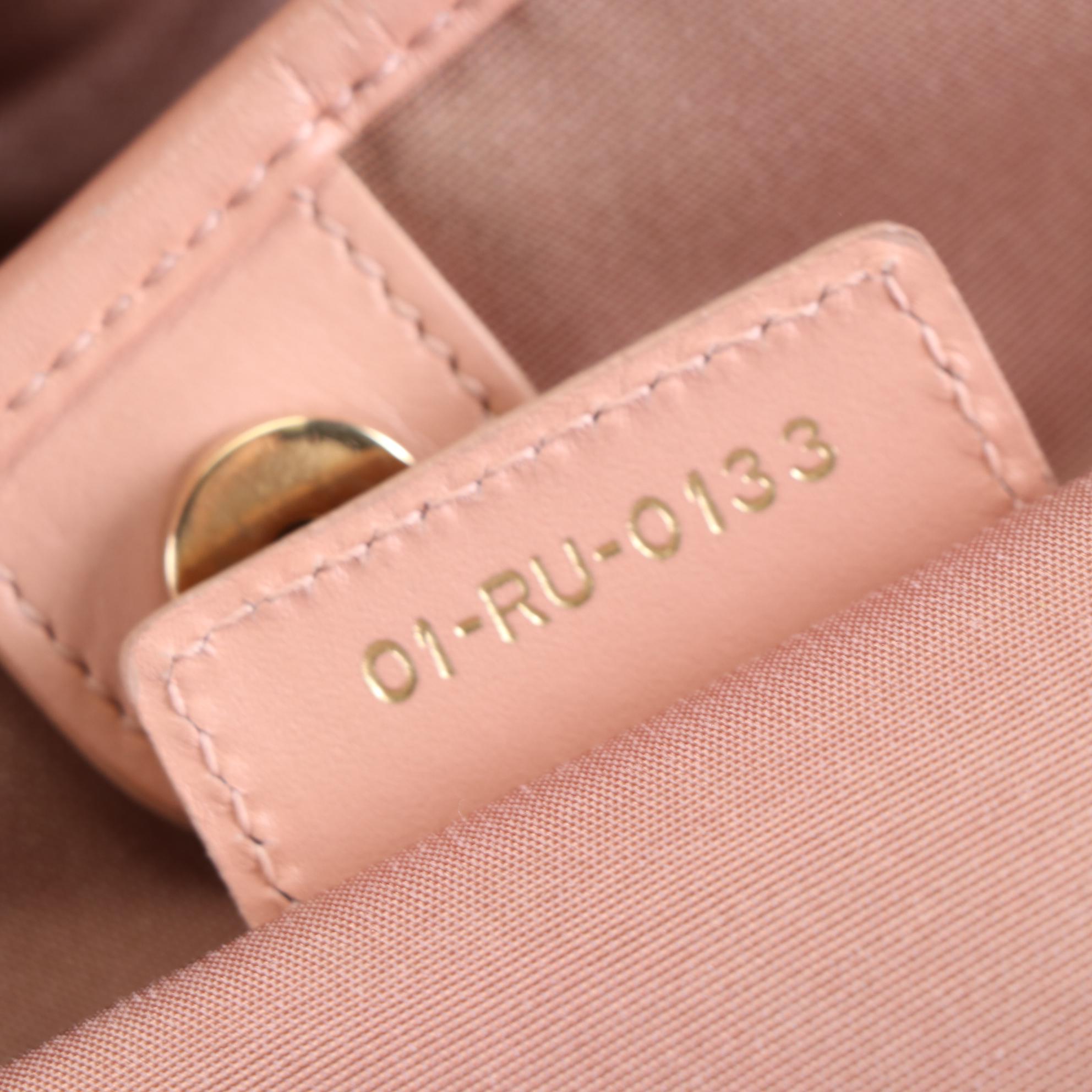 Christian Dior Lady Dior Tote in Coated Canvas and Leather