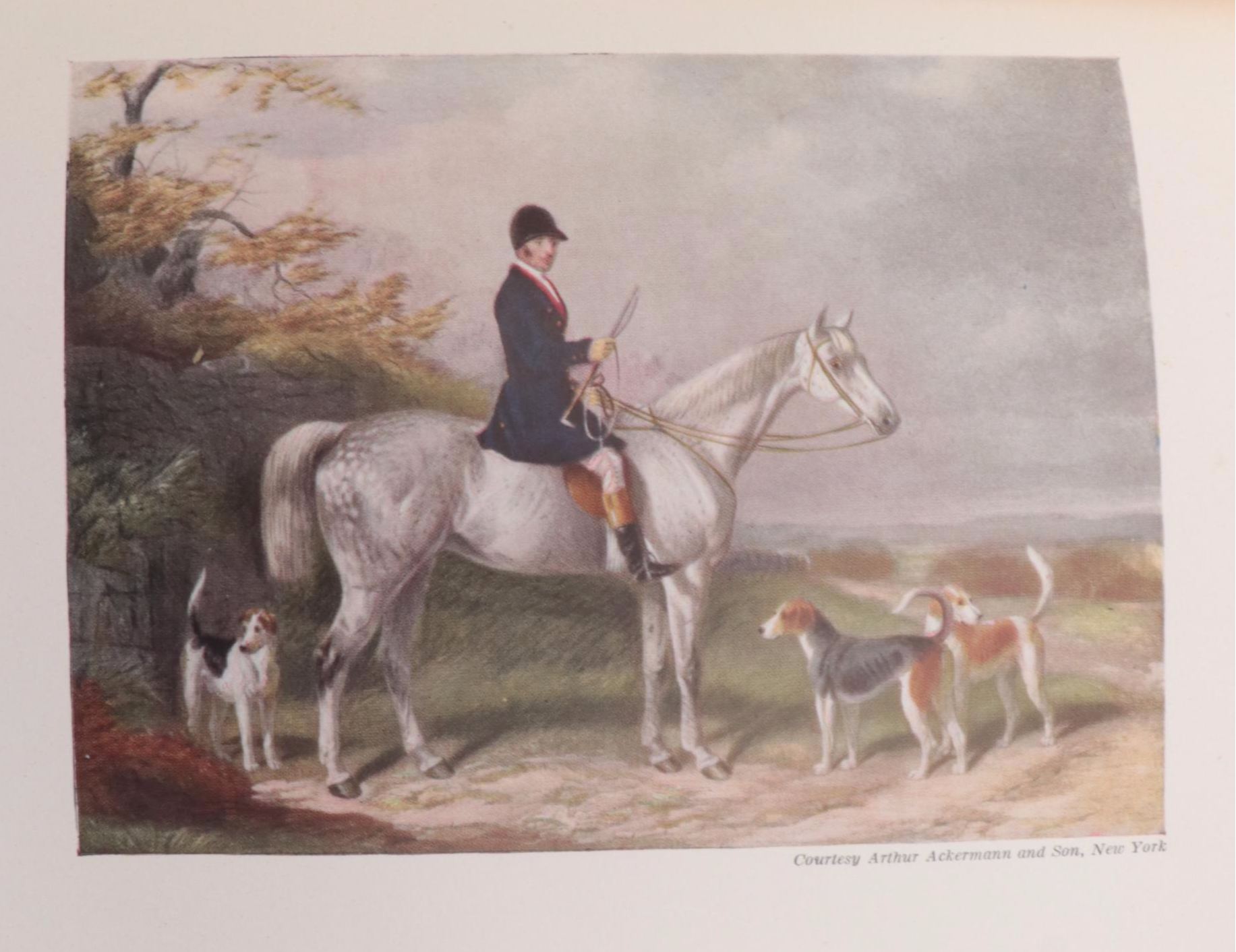 Carton Moorepark Illustrated "Reynard the Fox" by John Masefield and More