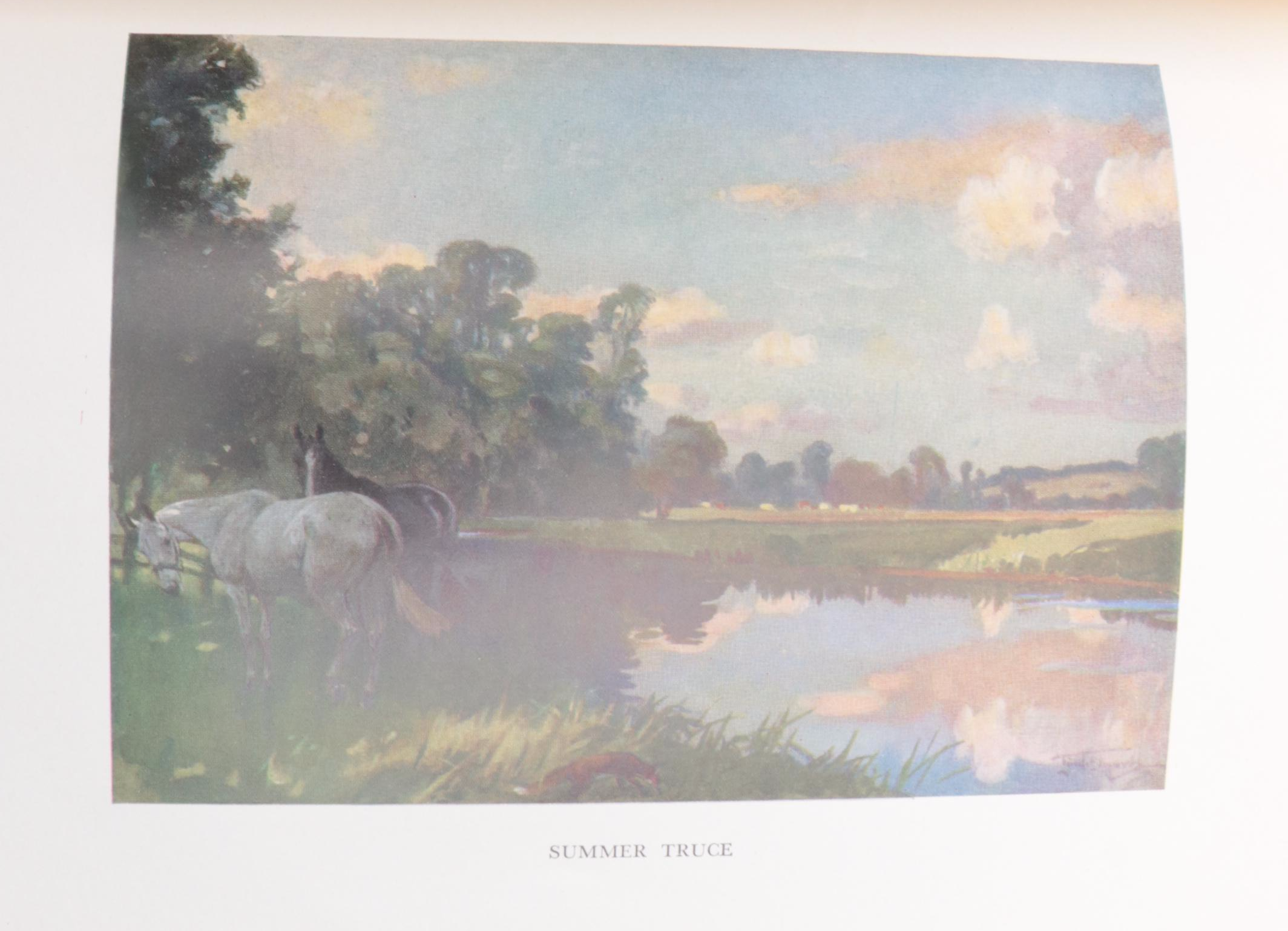 Carton Moorepark Illustrated "Reynard the Fox" by John Masefield and More