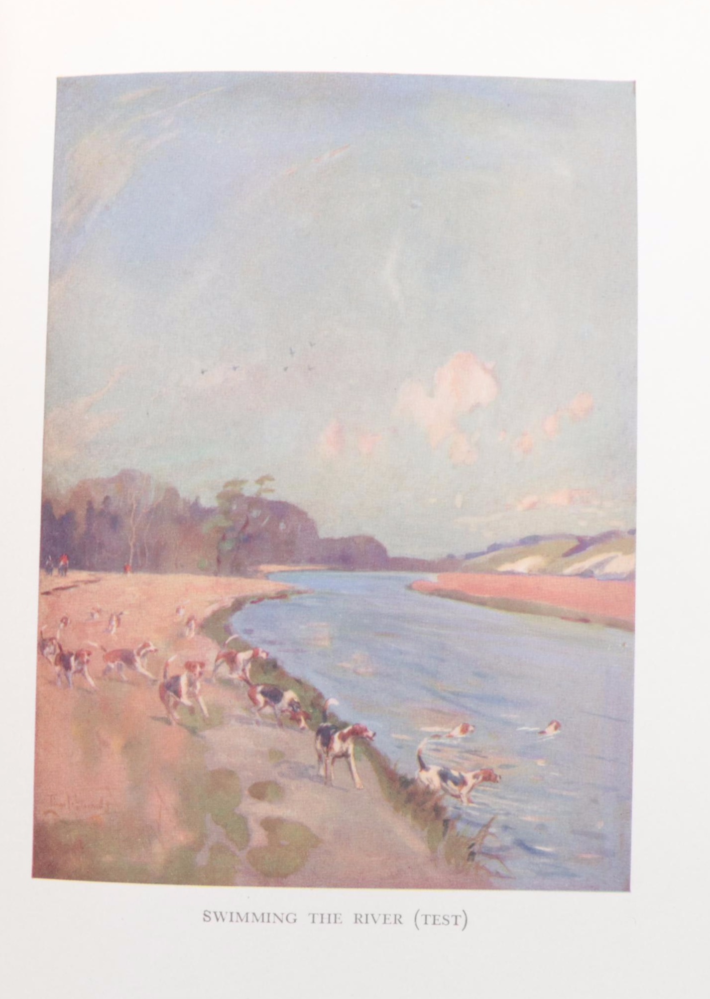 Carton Moorepark Illustrated "Reynard the Fox" by John Masefield and More