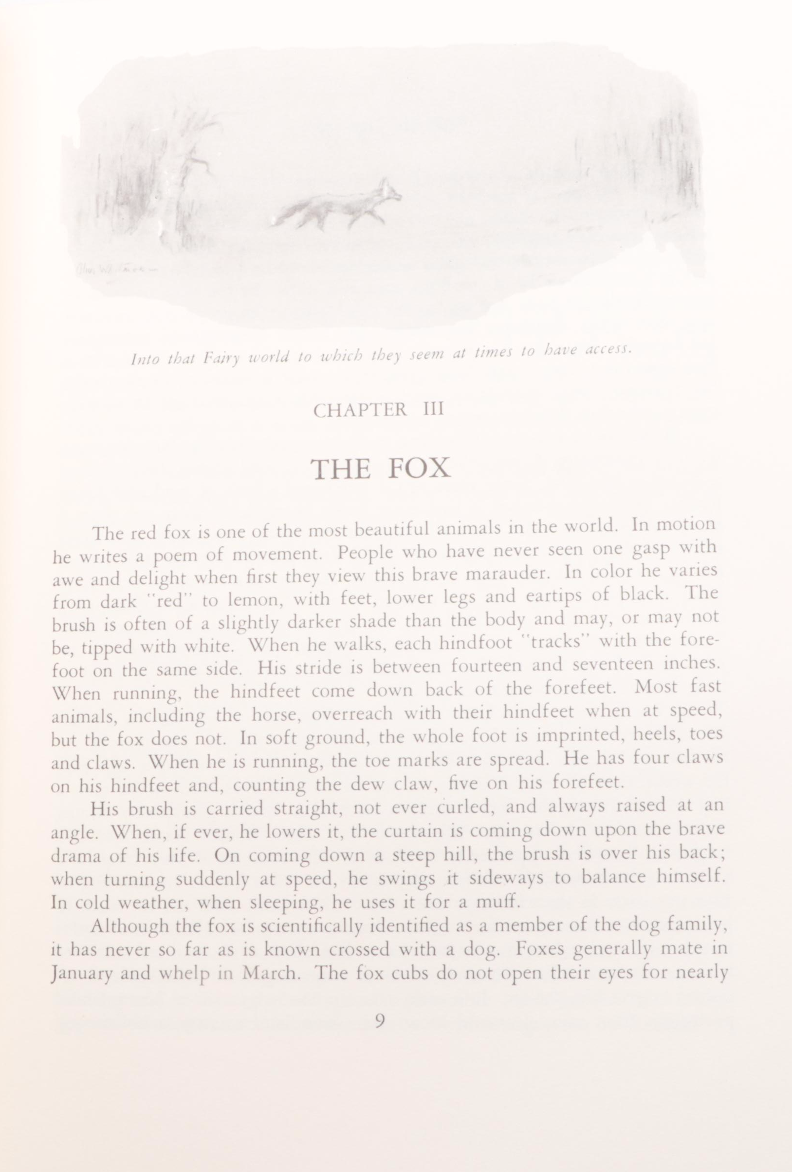 Carton Moorepark Illustrated "Reynard the Fox" by John Masefield and More