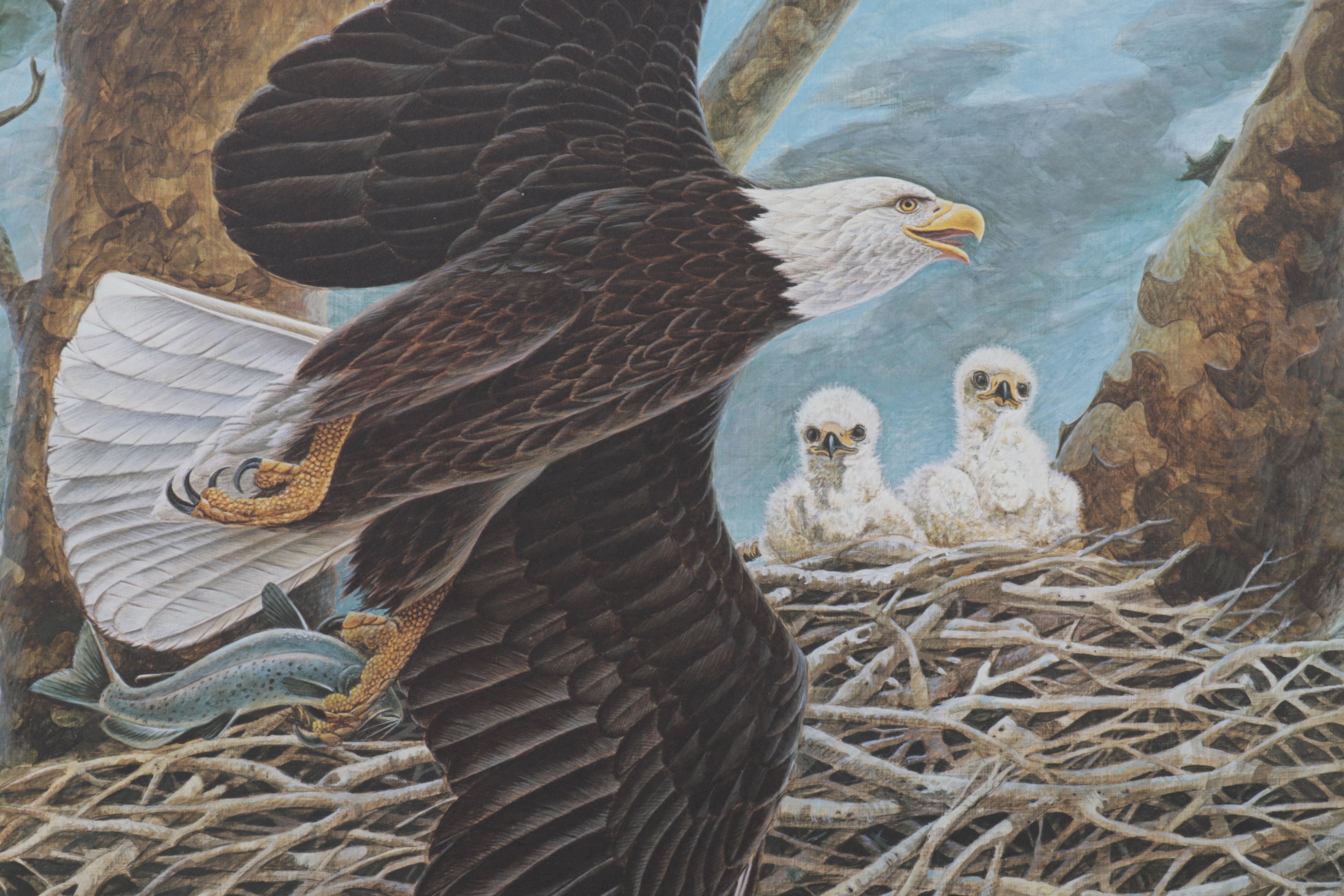 John A. Ruthven Offset Lithograph "Bald Eagle," Circa 1988