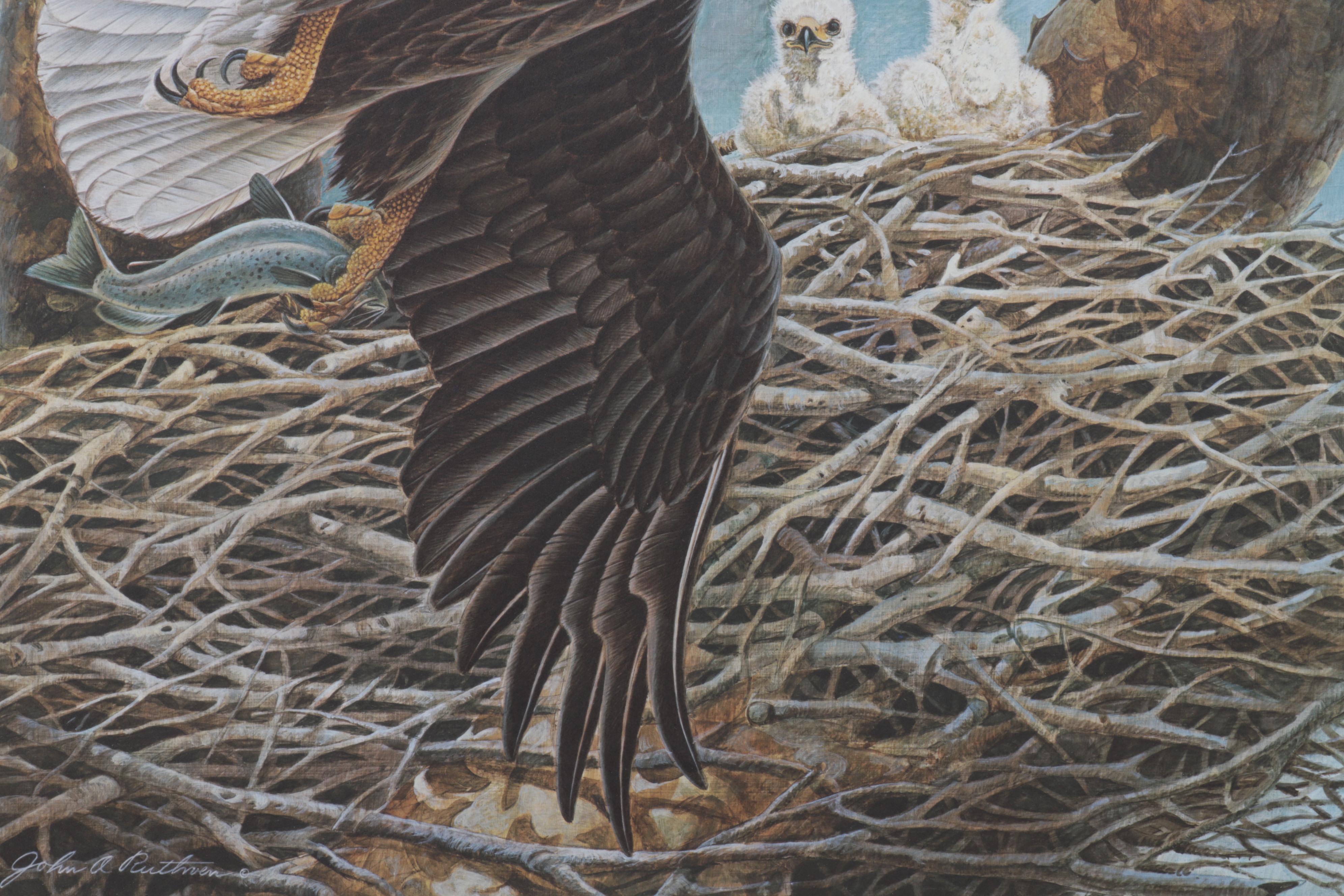 John A. Ruthven Offset Lithograph "Bald Eagle," Circa 1988