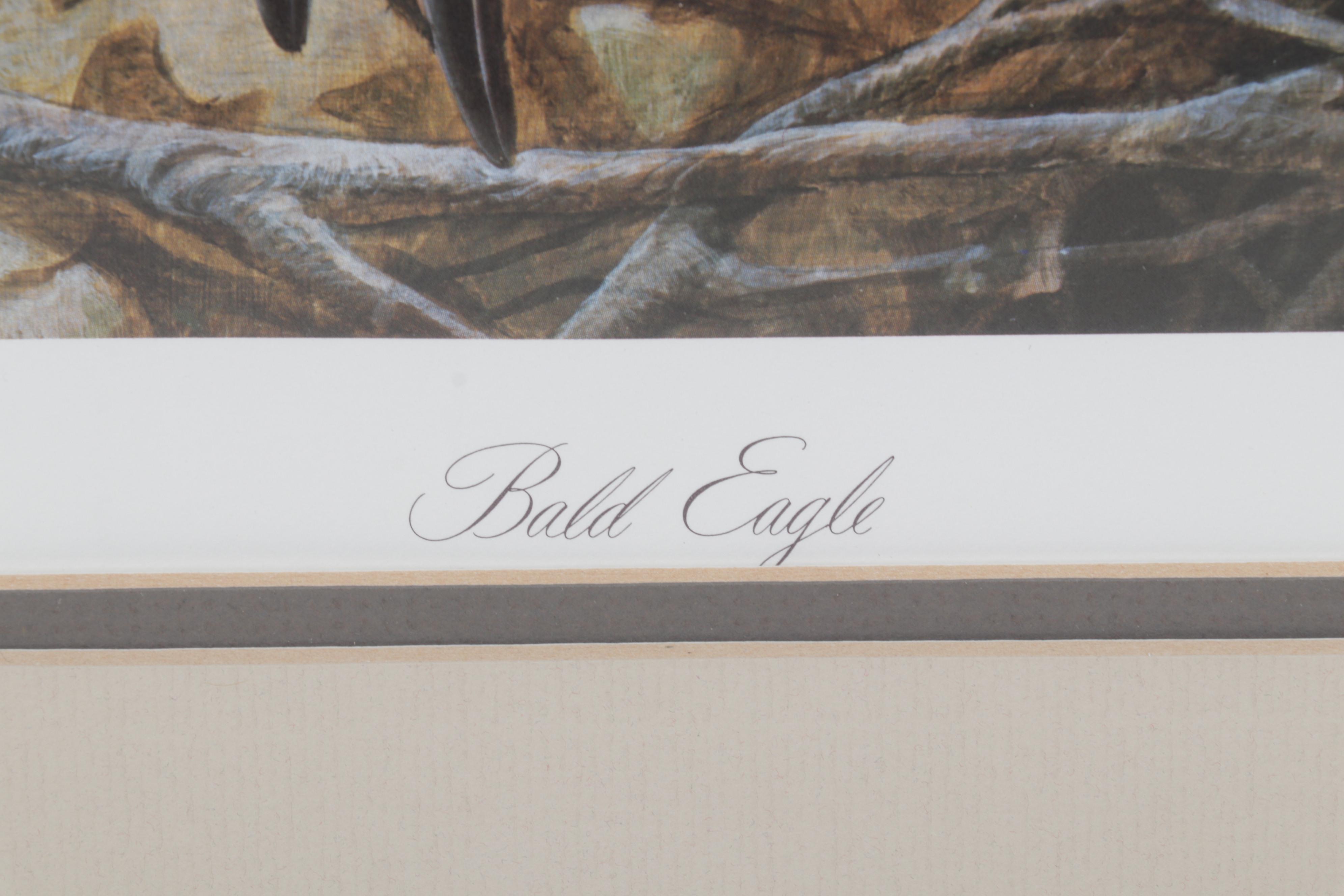 John A. Ruthven Offset Lithograph "Bald Eagle," Circa 1988