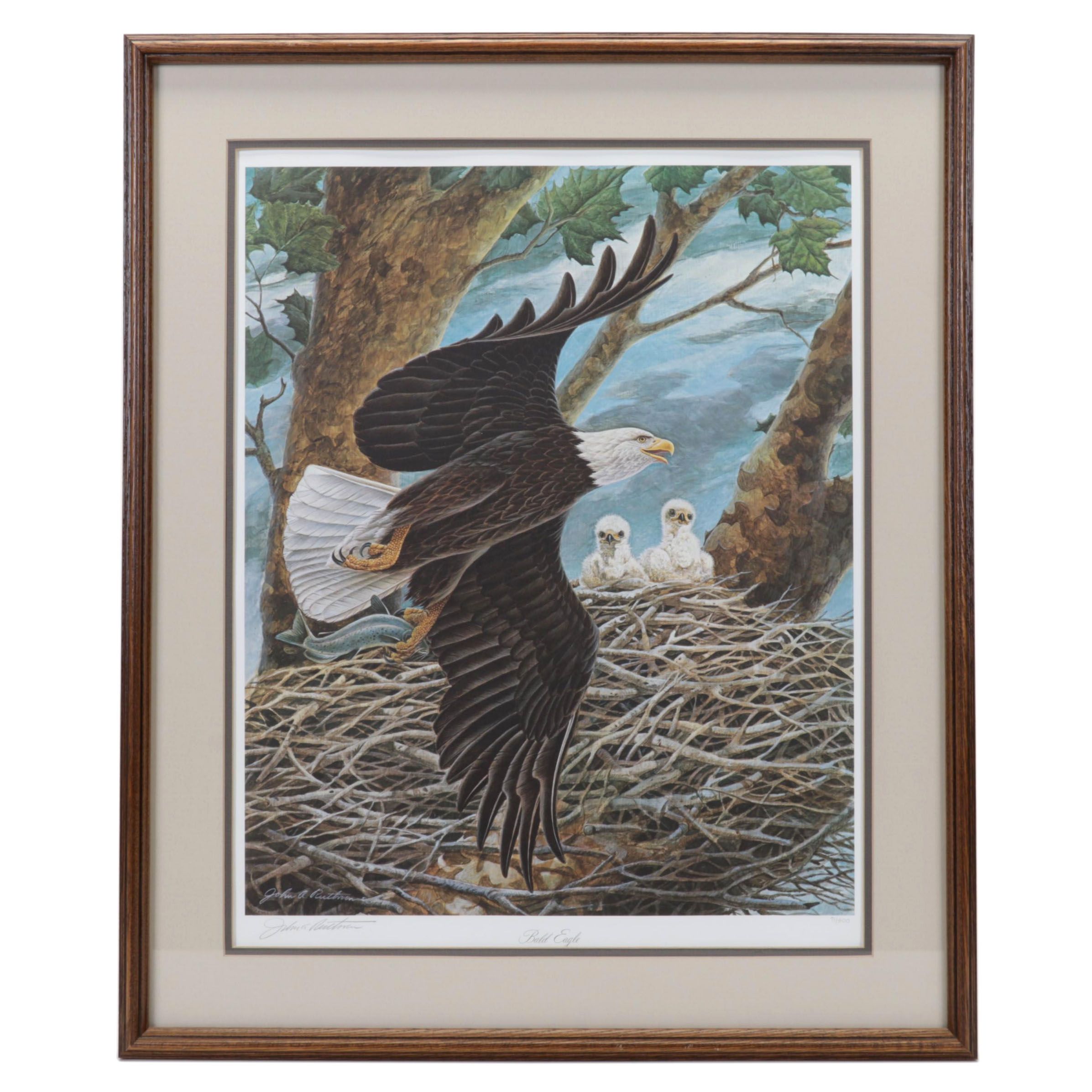 John A. Ruthven Offset Lithograph "Bald Eagle," Circa 1988