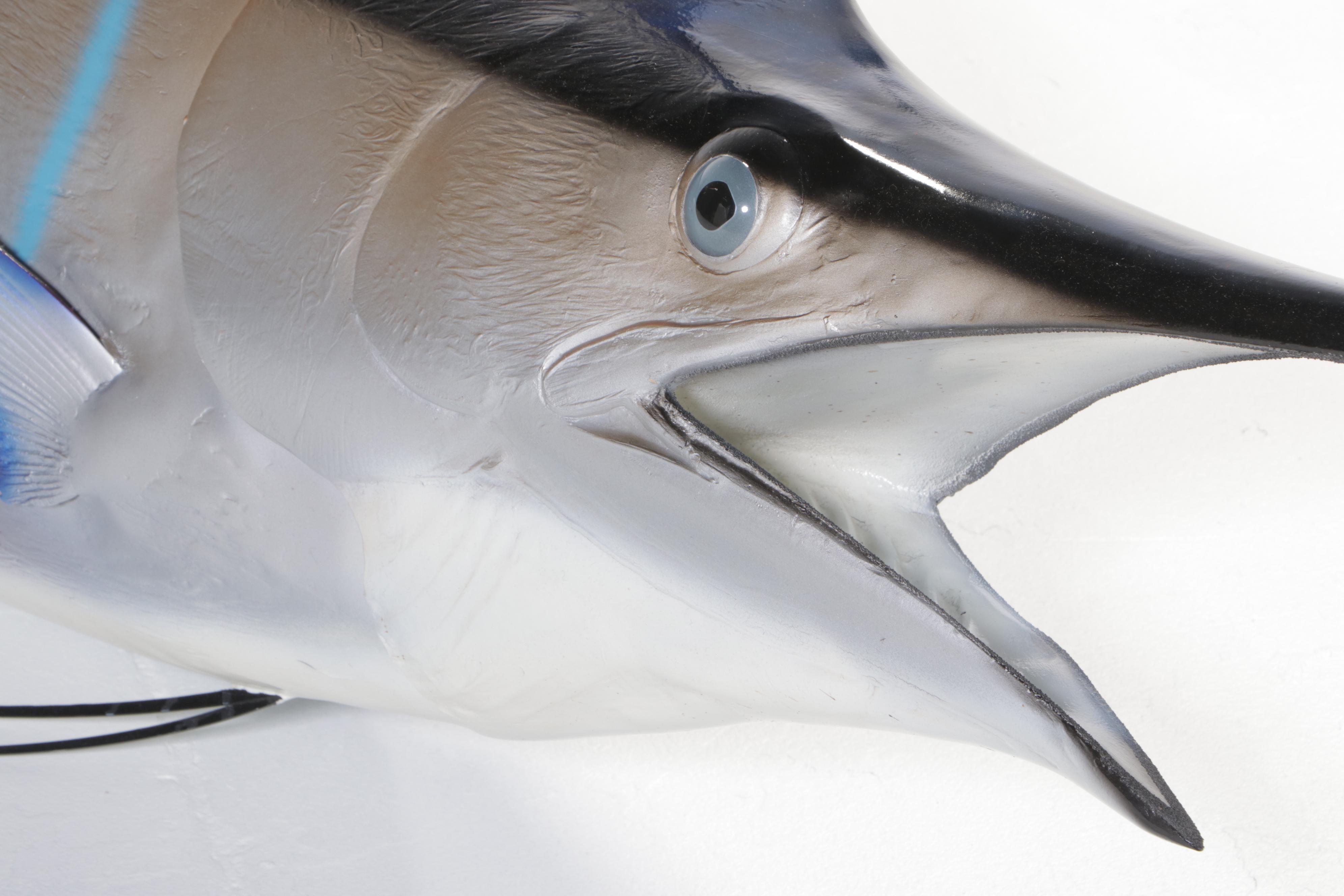 Taxidermy Atlantic Blue Marlin Fiberglass Replica