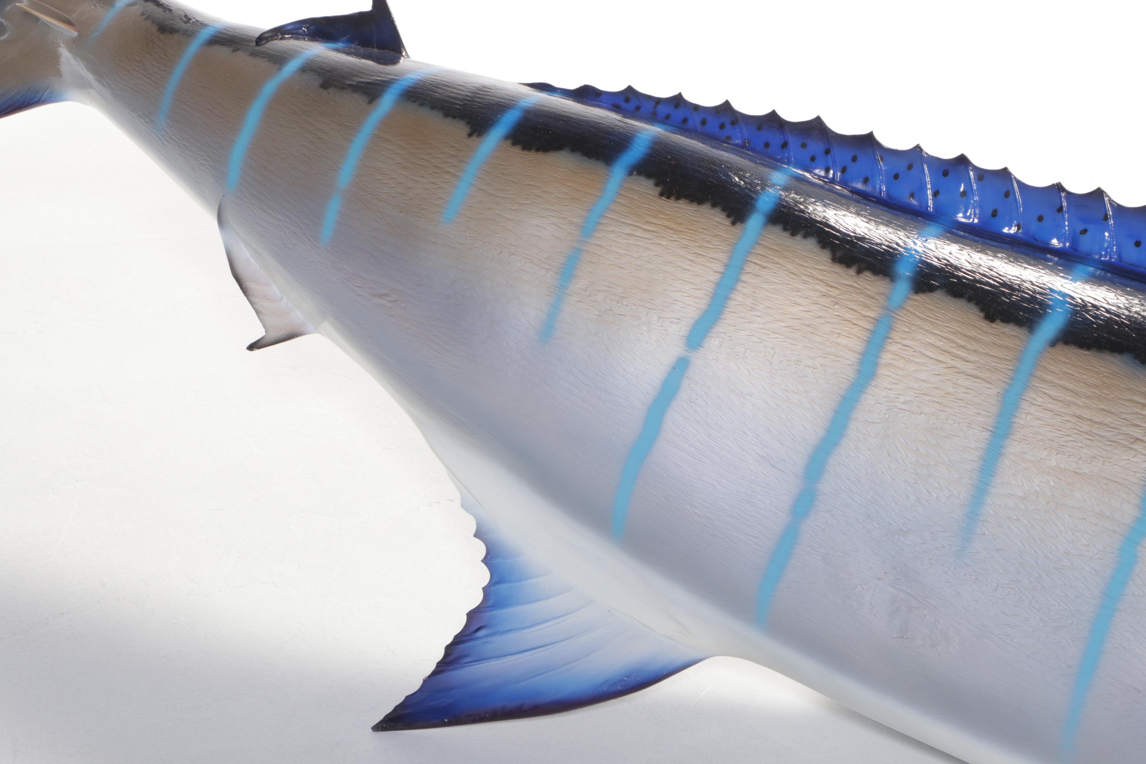 Taxidermy Atlantic Blue Marlin Fiberglass Replica