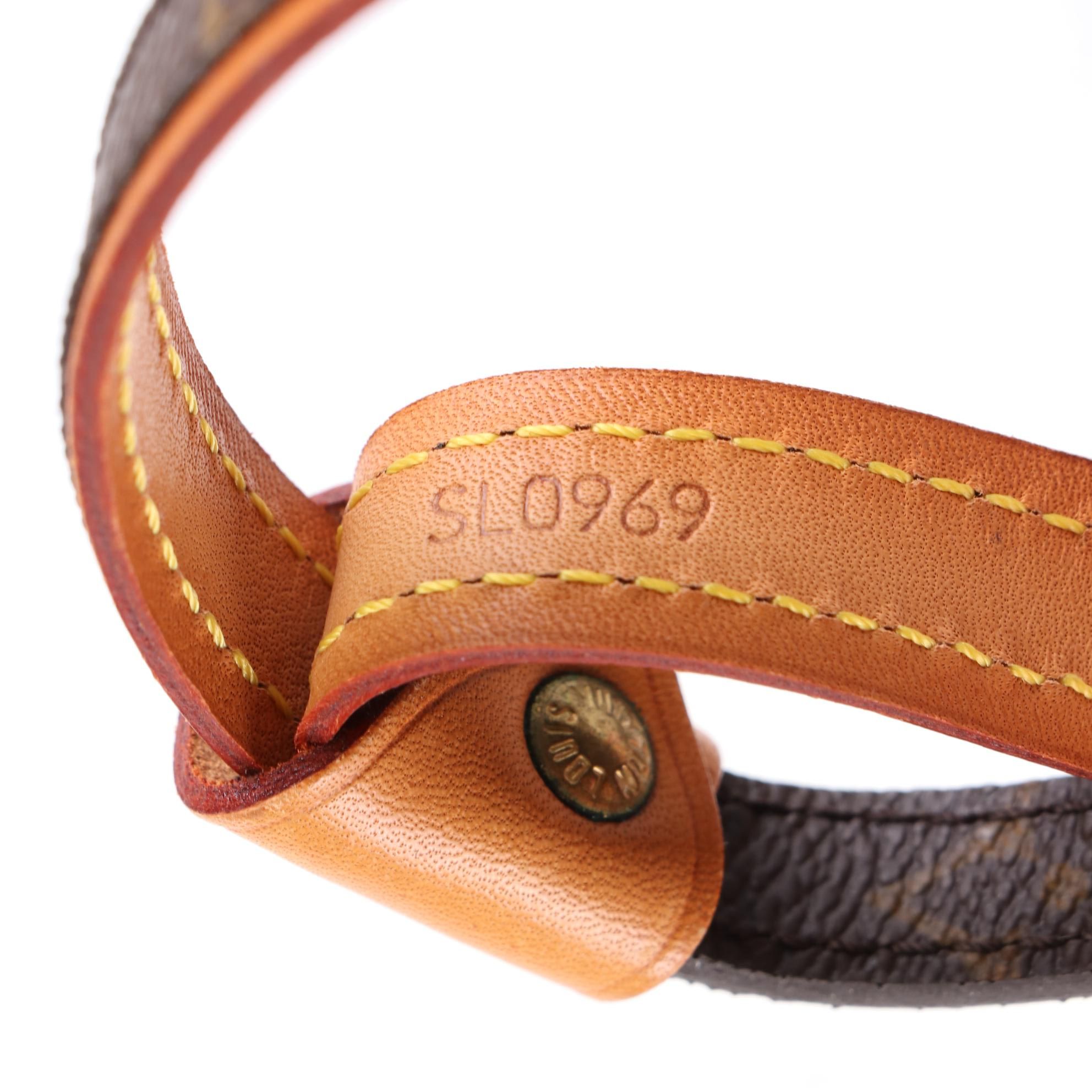 Louis Vuitton Baxter MM Pet Leash in Monogram Canvas and Leather