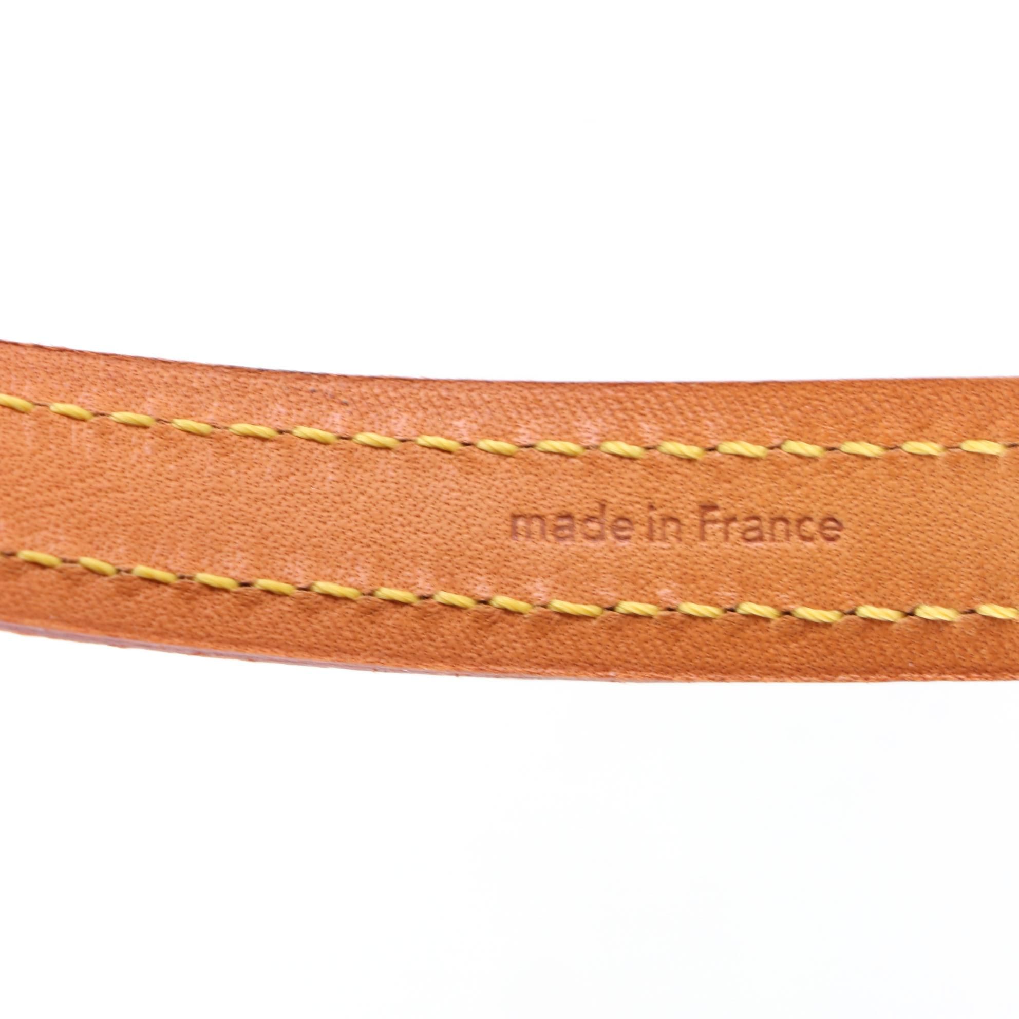 Louis Vuitton Baxter MM Pet Leash in Monogram Canvas and Leather