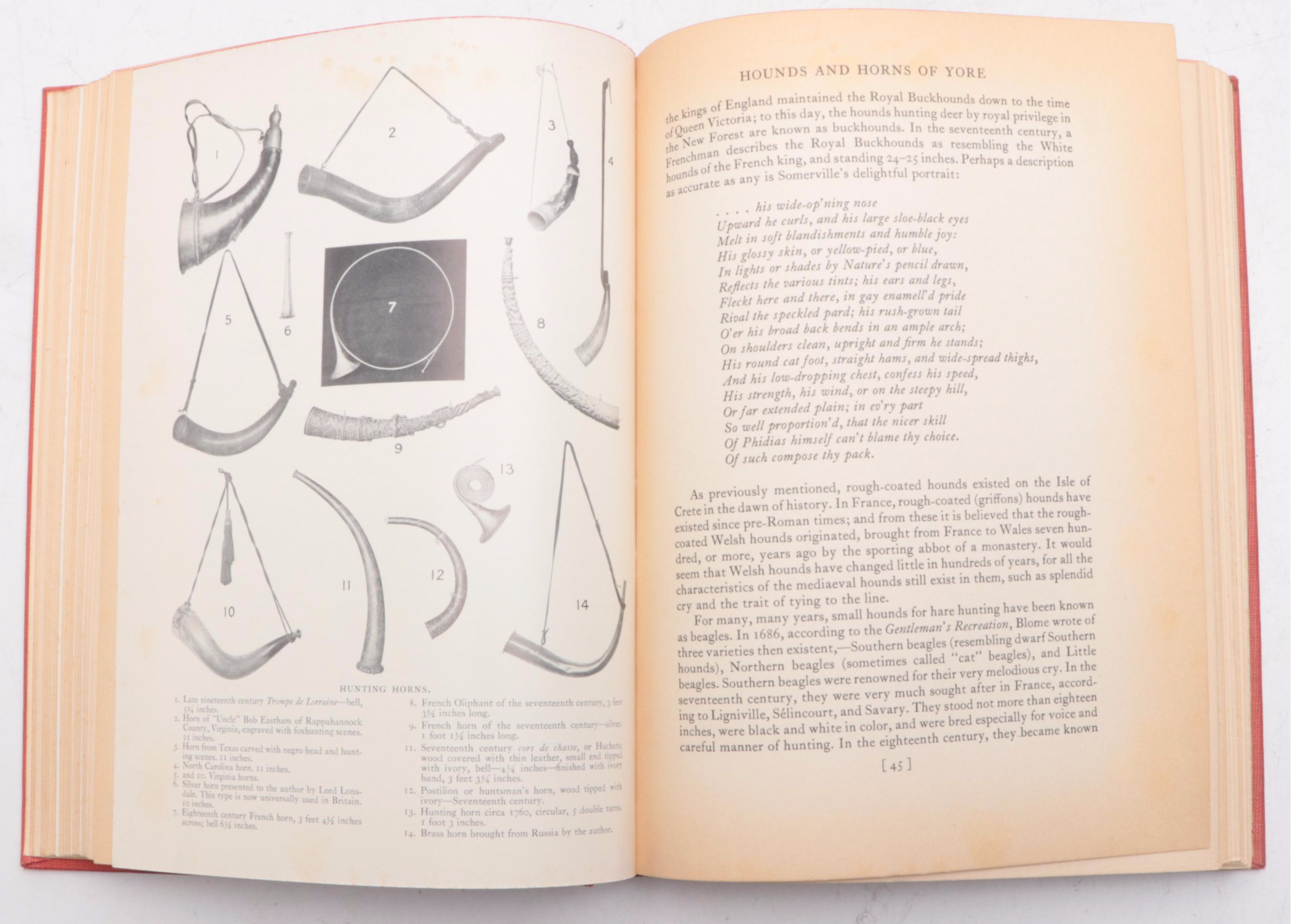 Illustrated "The Foxhound of the Twentieth Century" by Cuthbert Bradley and More