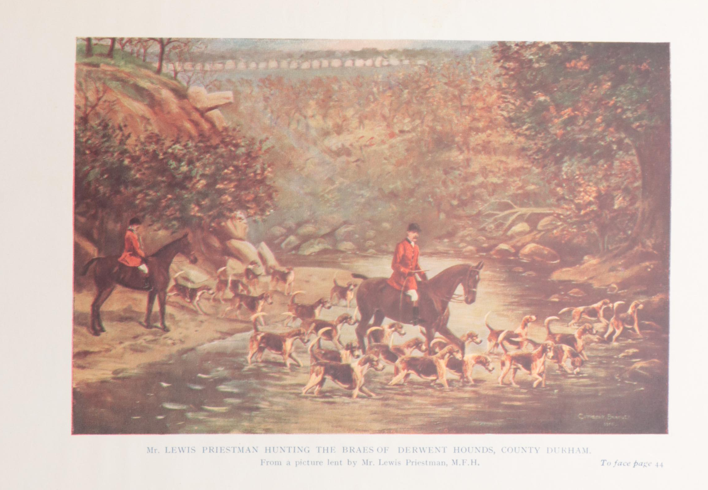 Illustrated "The Foxhound of the Twentieth Century" by Cuthbert Bradley and More