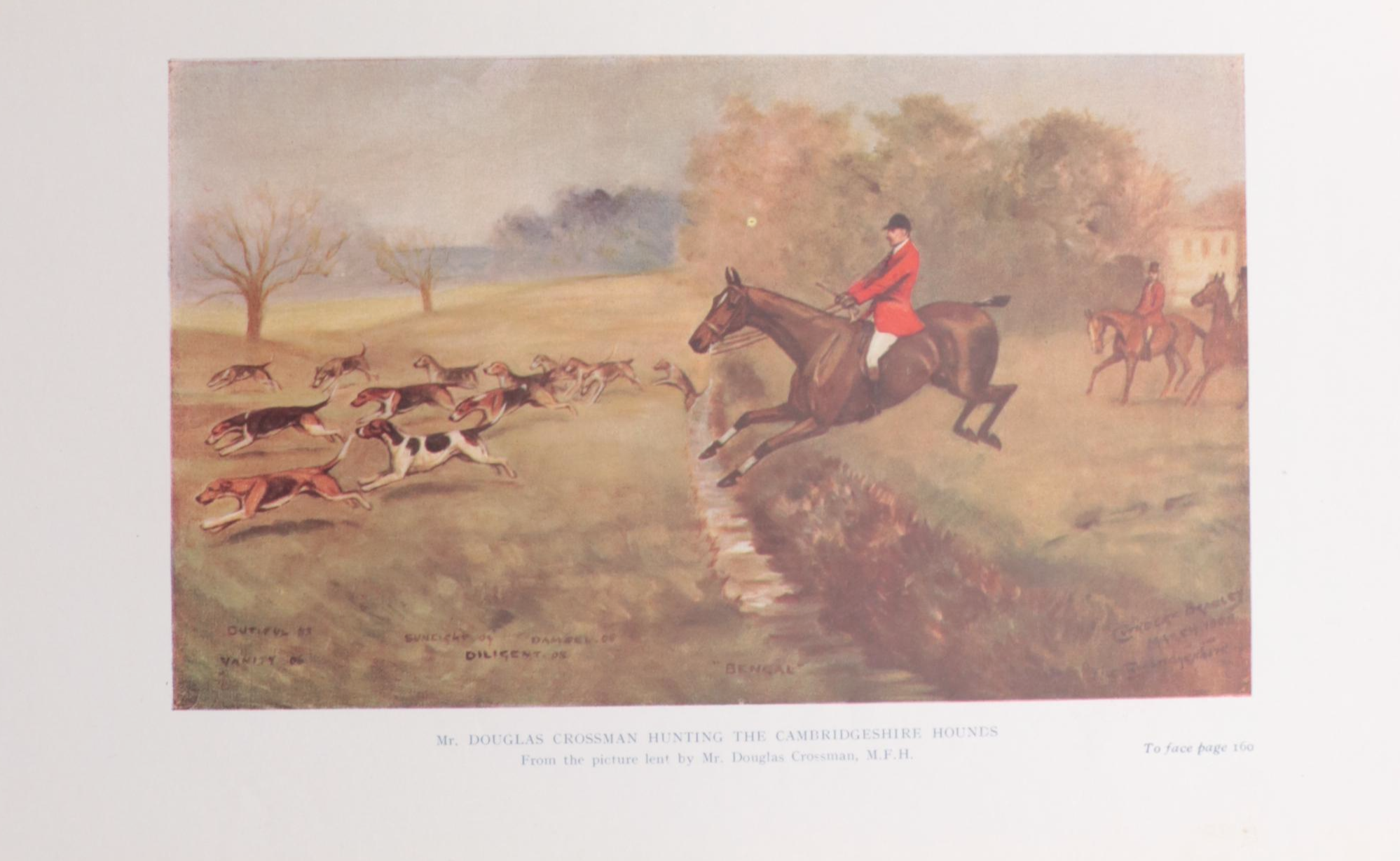 Illustrated "The Foxhound of the Twentieth Century" by Cuthbert Bradley and More