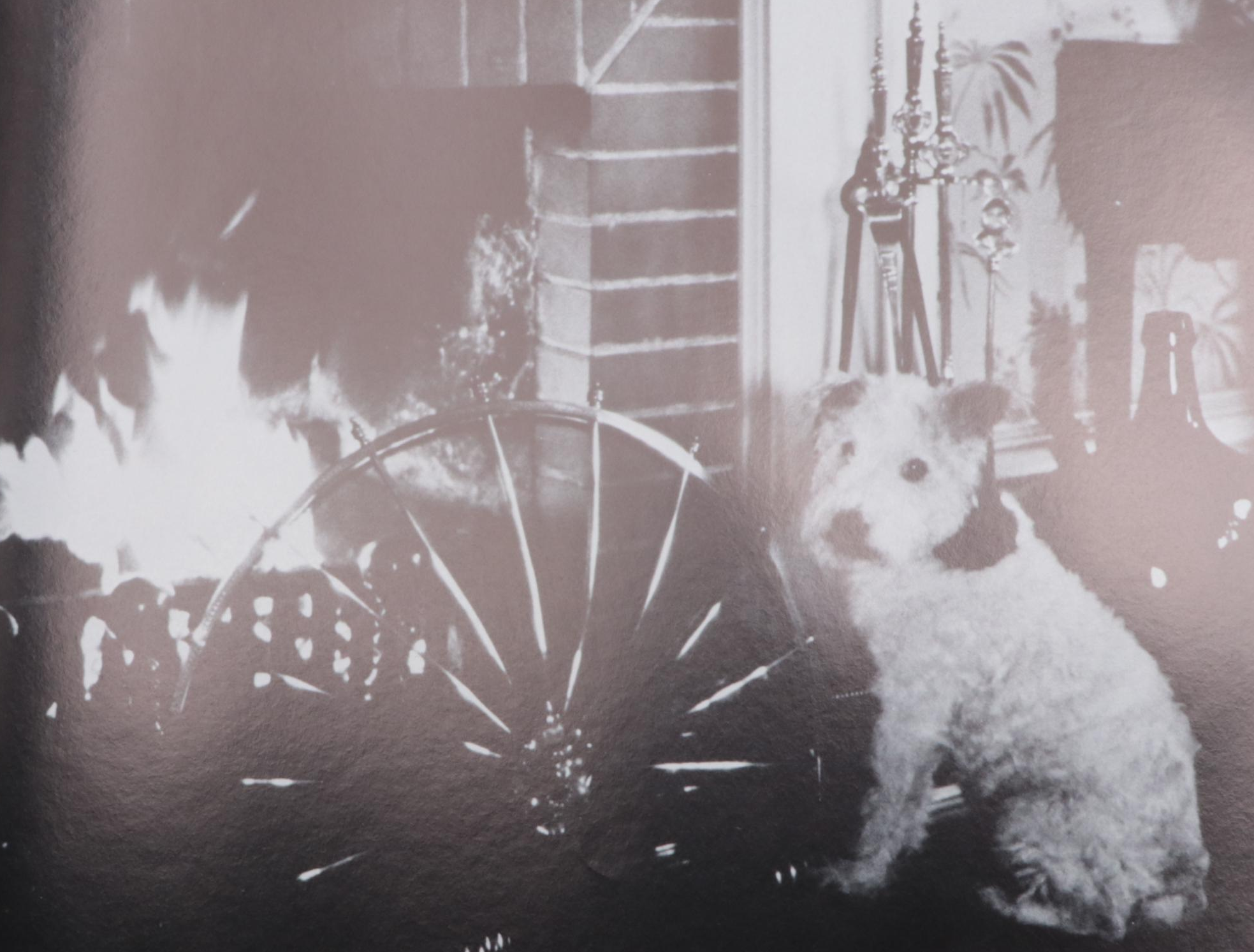 "The Wild Riders of the First Kentucky Cavalry" by E. Tarrant and More