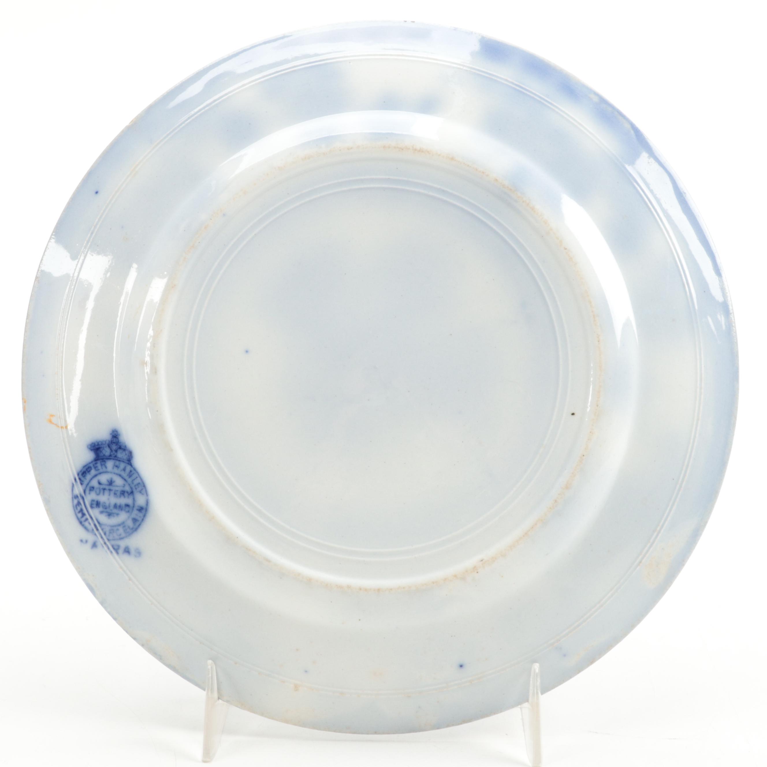 Carl Teichert Blue Onion Style with Seltmann and Other English Flo Blue Plates