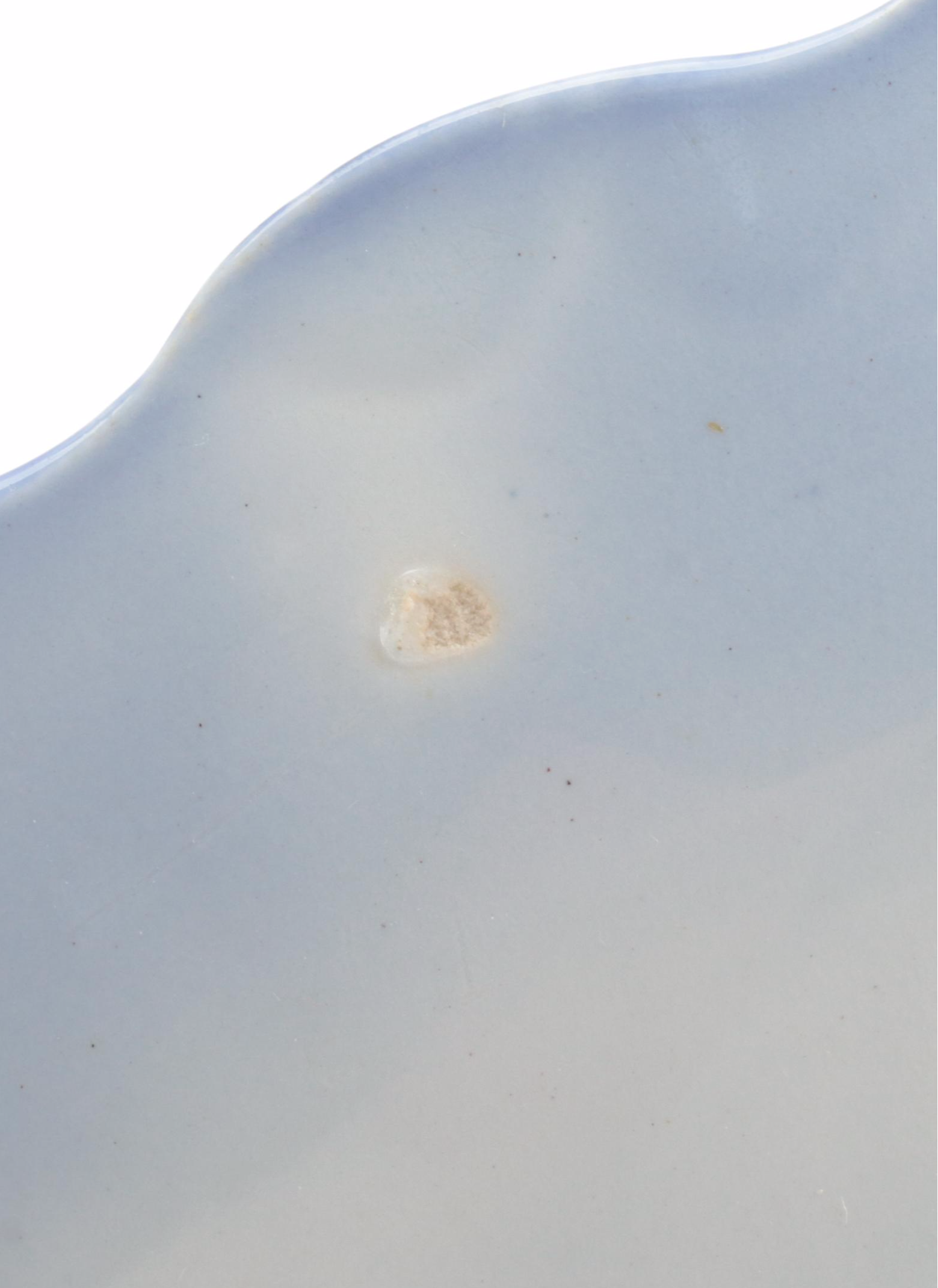 Carl Teichert Blue Onion Style with Seltmann and Other English Flo Blue Plates