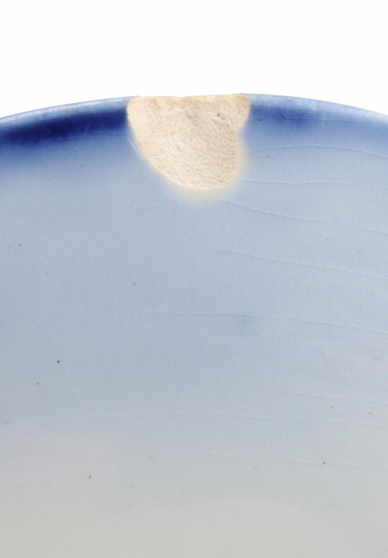 Carl Teichert Blue Onion Style with Seltmann and Other English Flo Blue Plates