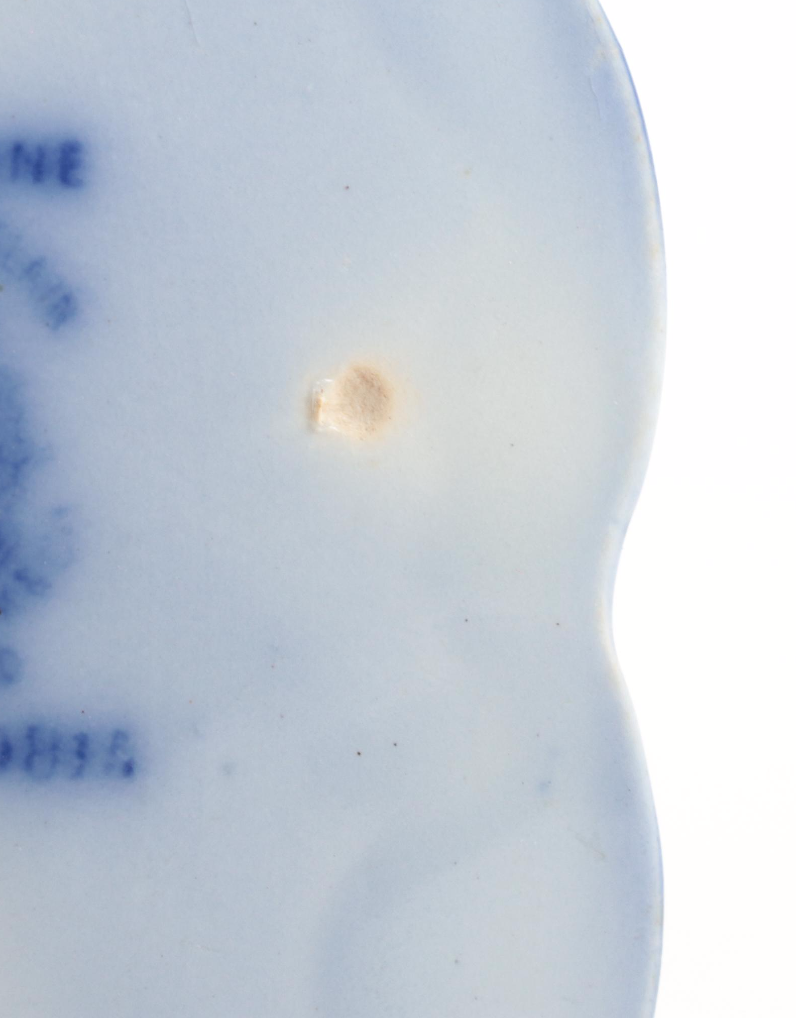 Carl Teichert Blue Onion Style with Seltmann and Other English Flo Blue Plates