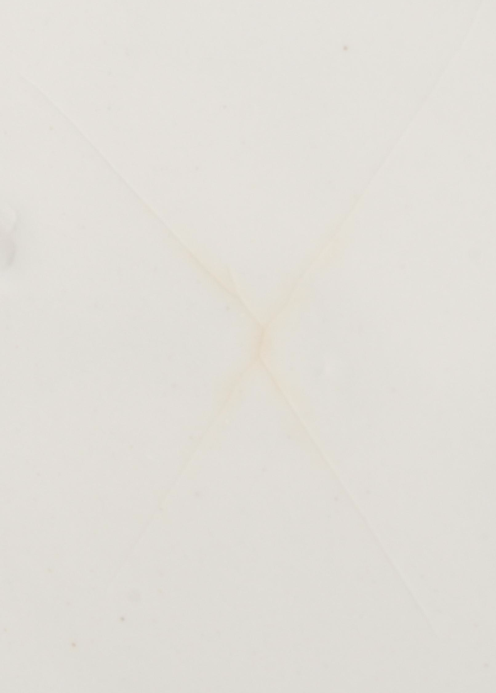 Carl Teichert Blue Onion Style with Seltmann and Other English Flo Blue Plates