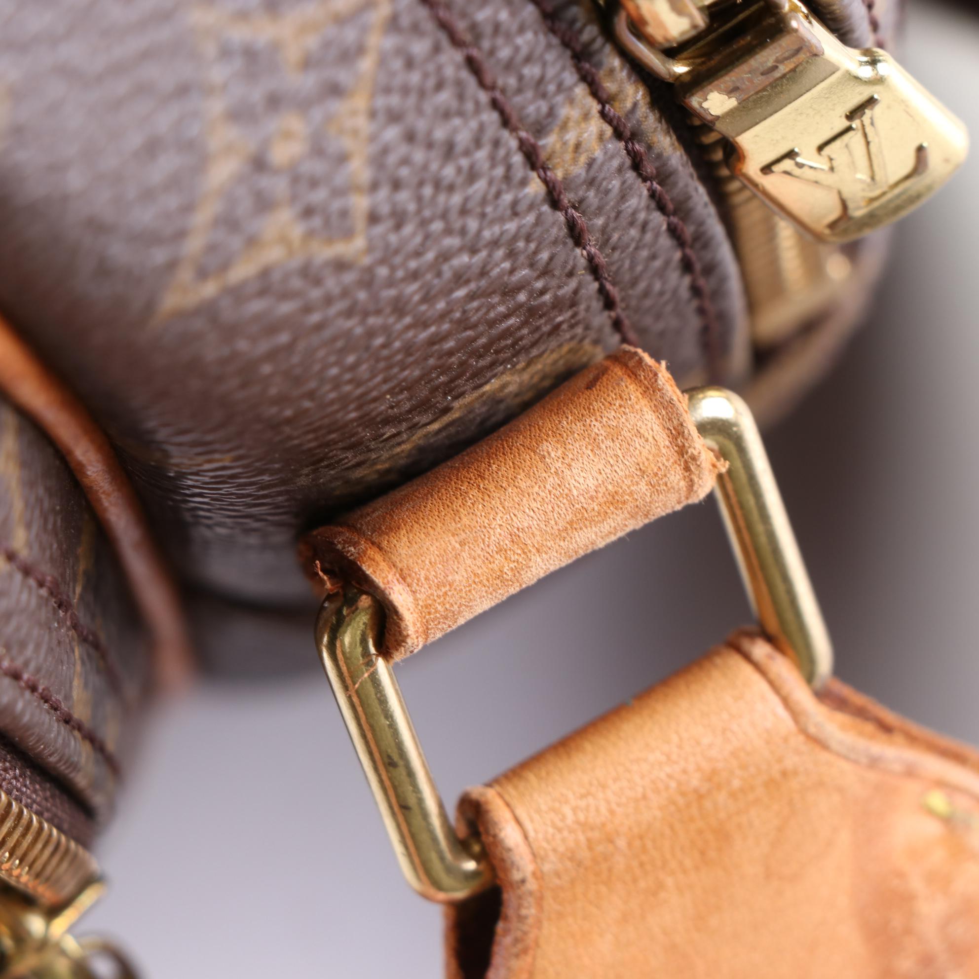 Louis Vuitton Reporter PM Bag in Monogram Canvas and Vachetta Leather