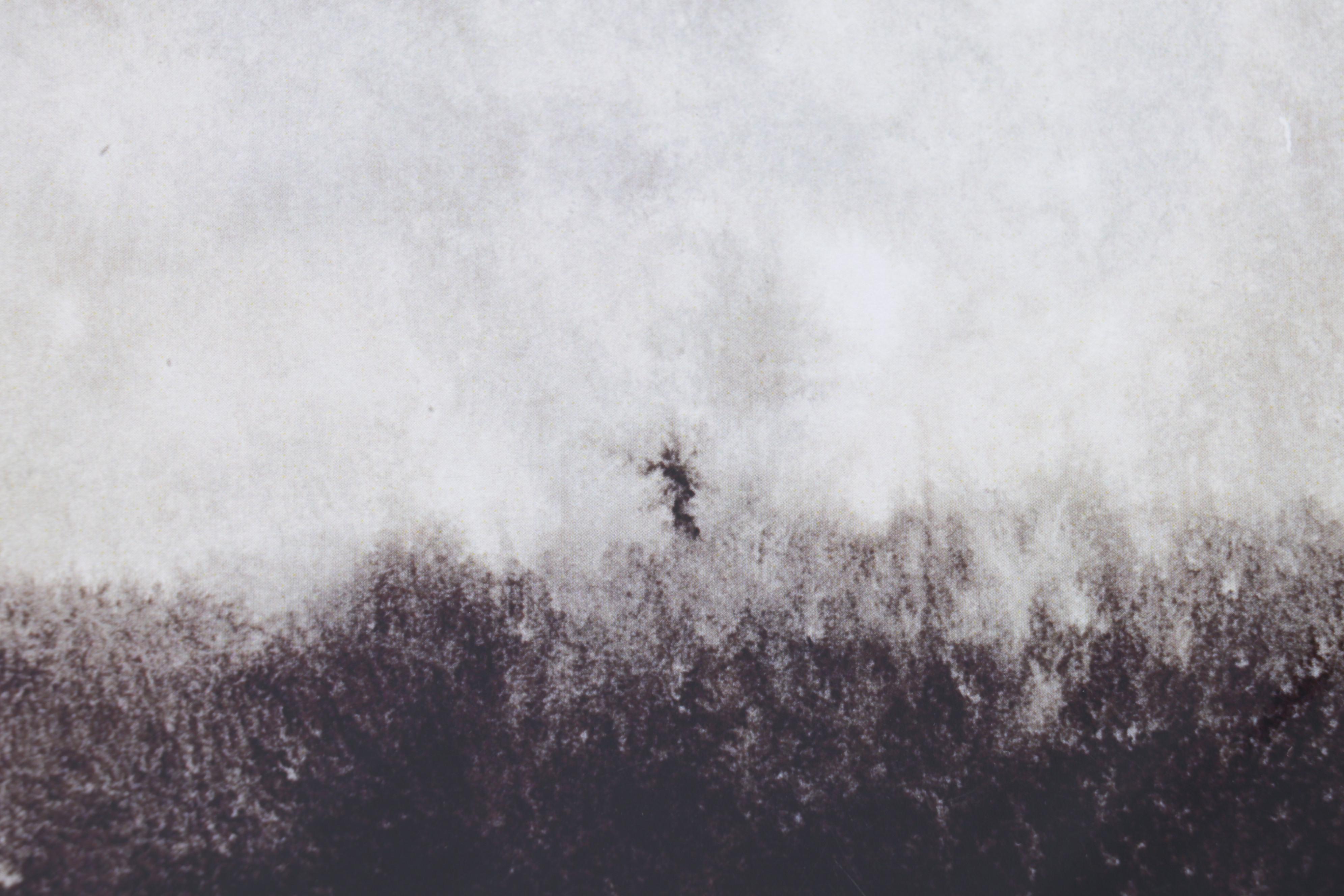 Adam Levene Offset Lithographs Including "Dodo," 21st Century