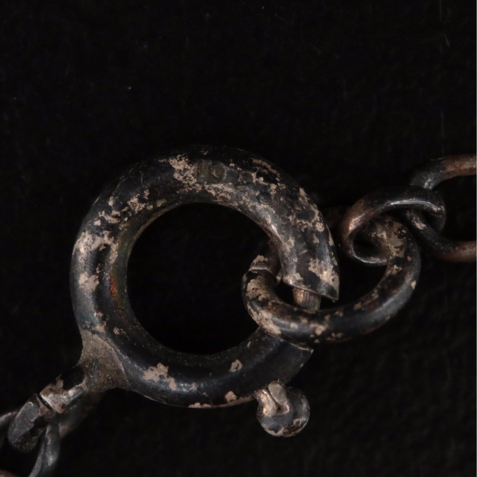 Sterling Carved Bone and Black Onyx Creation Story Spider Woman Necklace