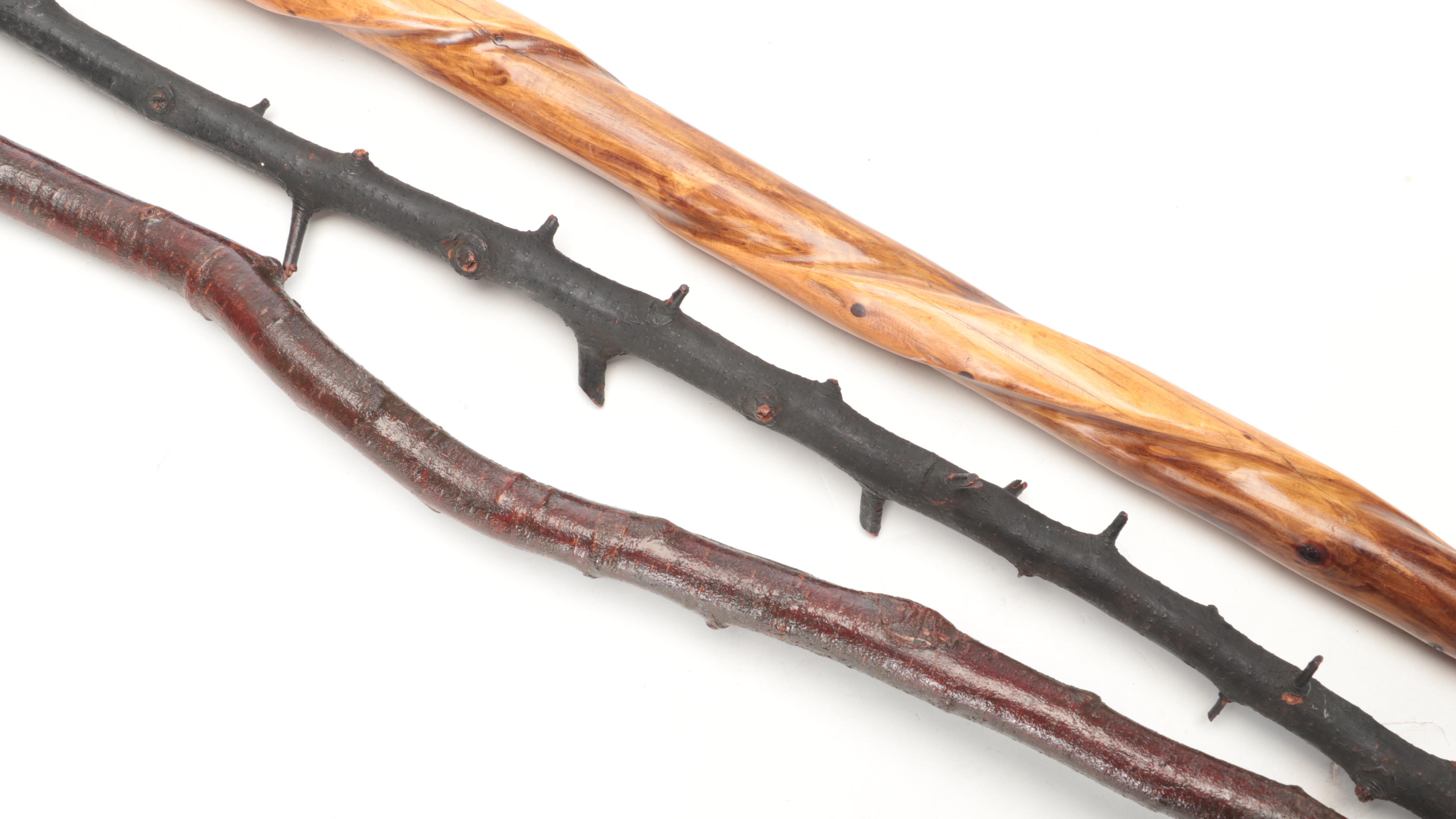 Handcrafted Black Birch Walking Stick with Other Wood Walking Sticks