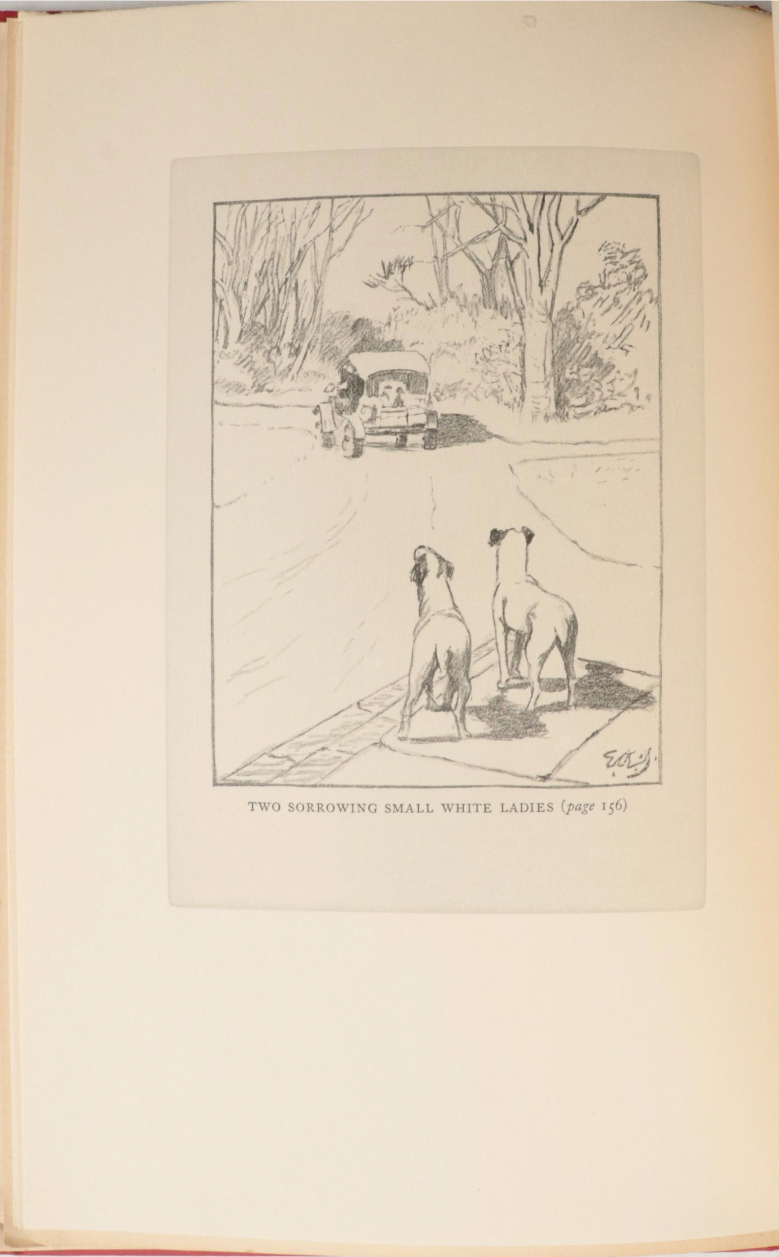 Signed Limited Edition "The States Through Irish Eyes" by E. Somerville and More