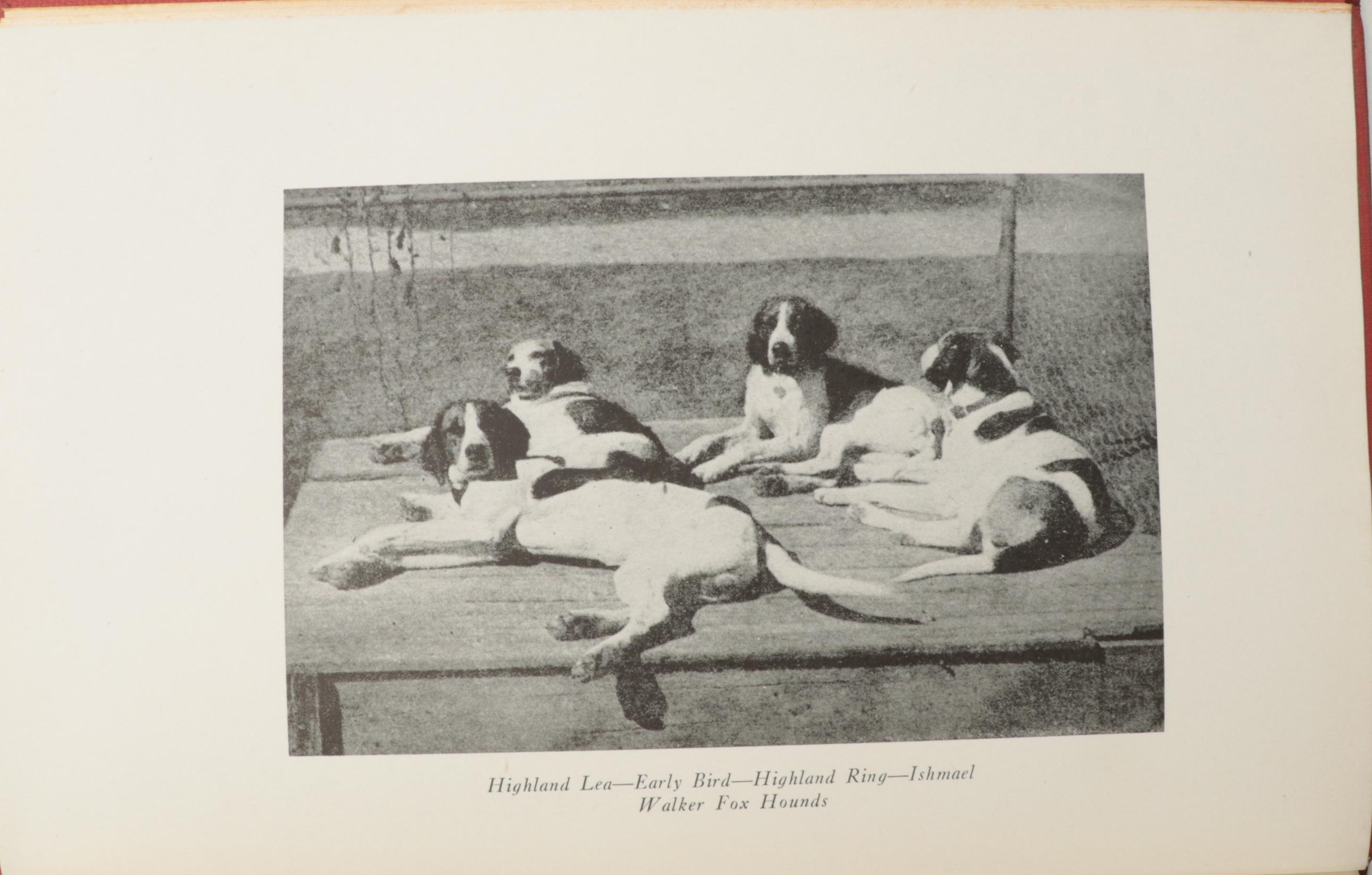 Signed Limited Edition "The States Through Irish Eyes" by E. Somerville and More