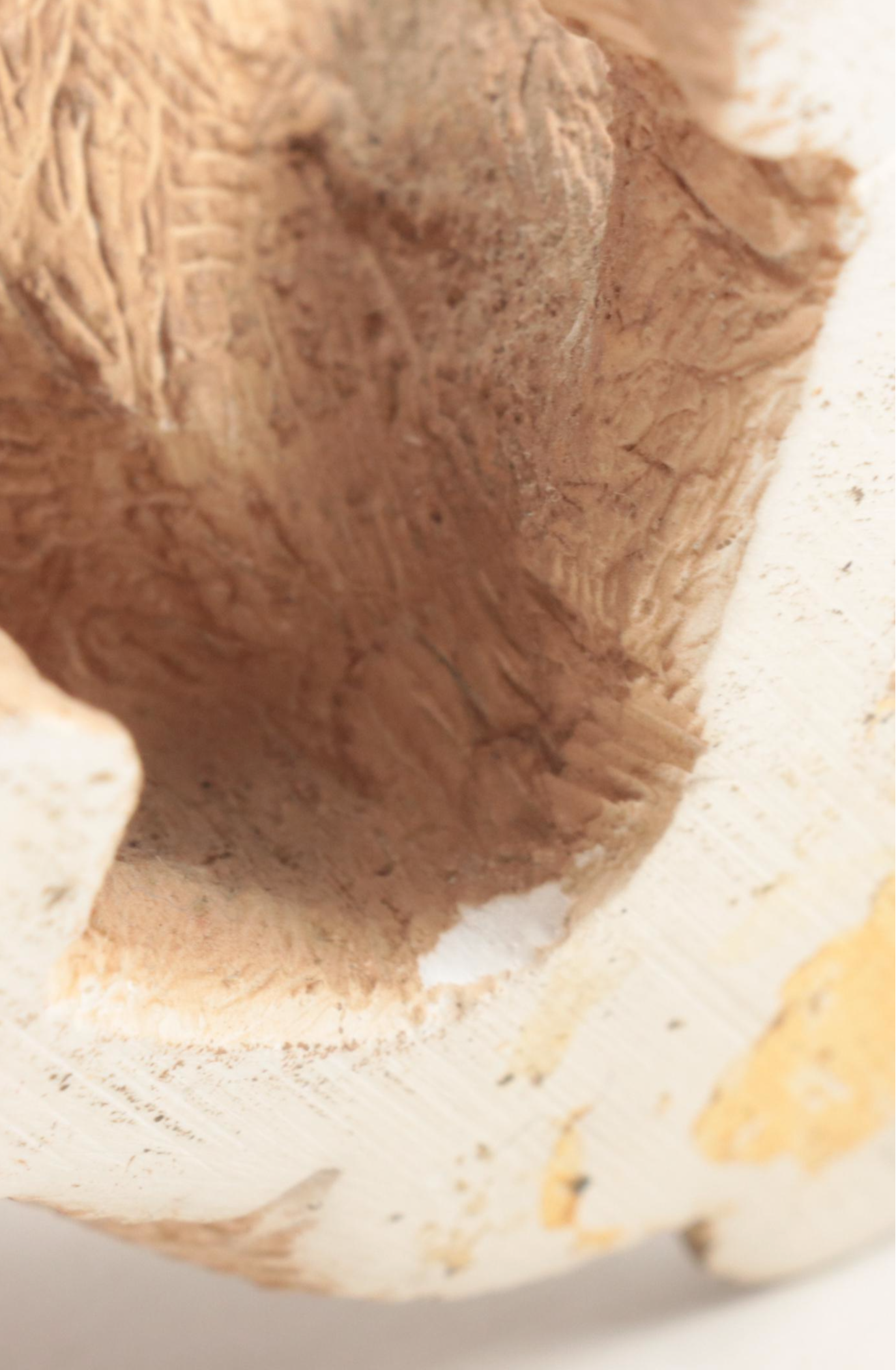 Red Mill Crushed Pecan and Resin Wolf Figurines with Other Wolf Figurines