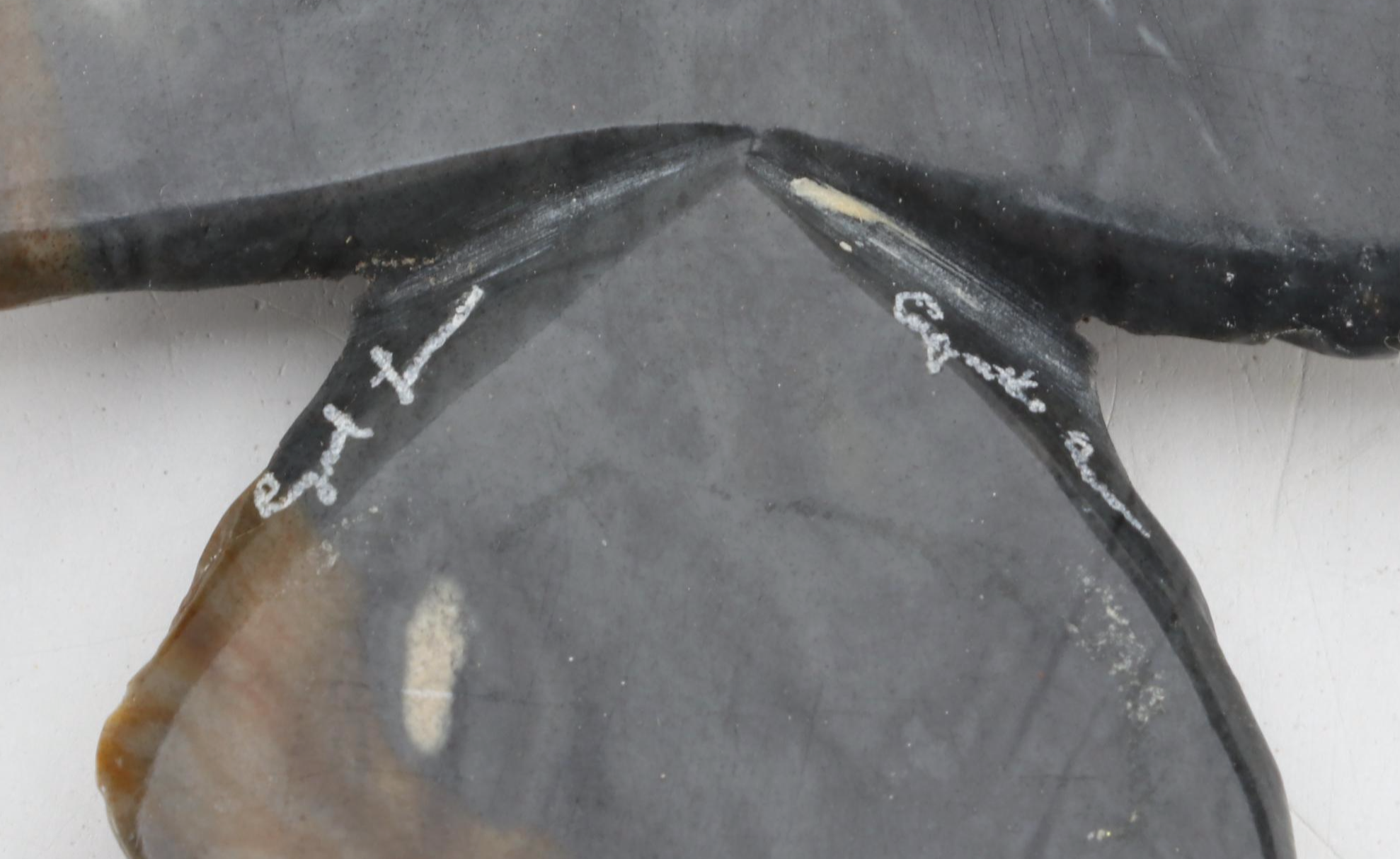 Zuni and Other Hand-Carved Fetishes in Picasso Stone, Marble, Soapstone