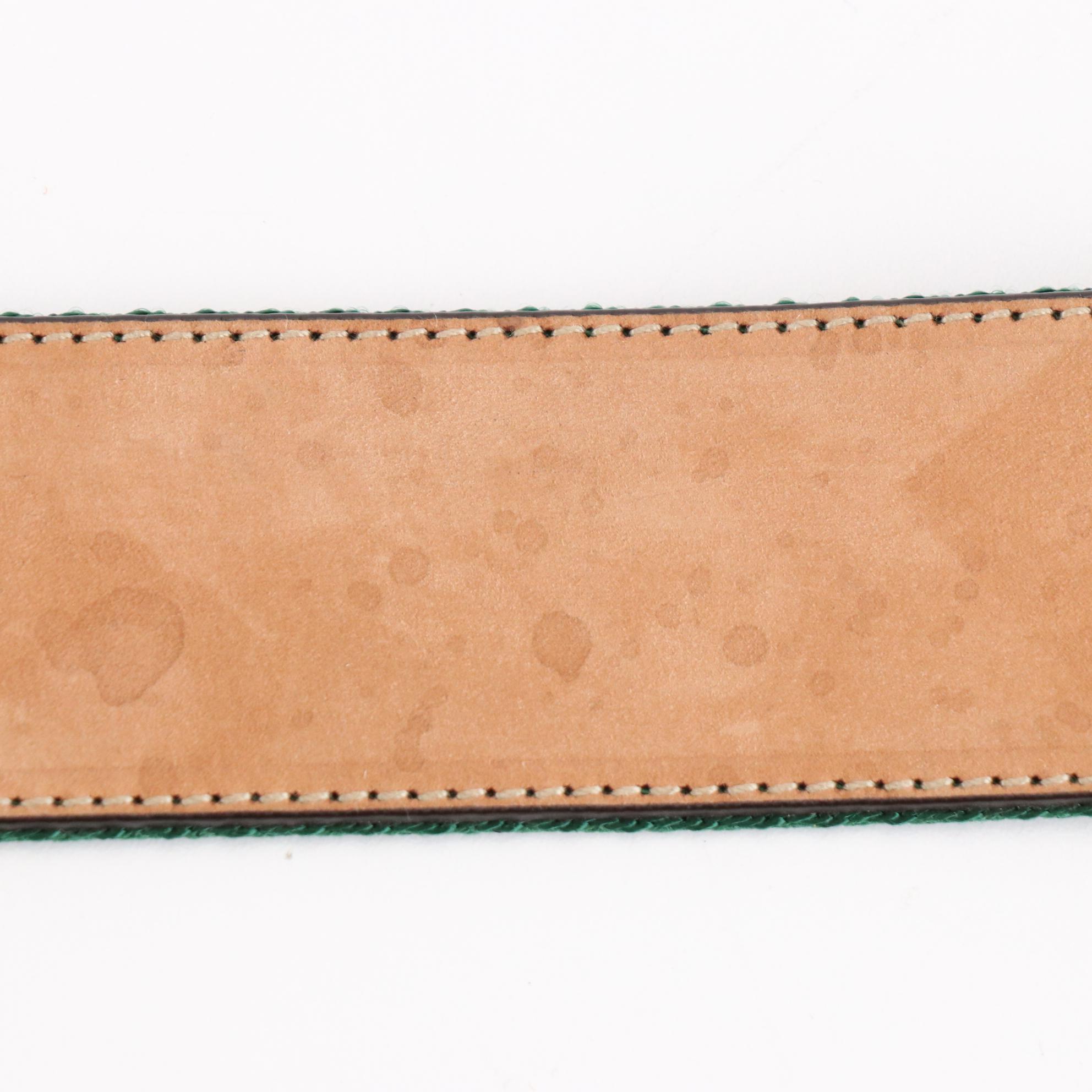 Gucci Web Canvas and Leather Belt