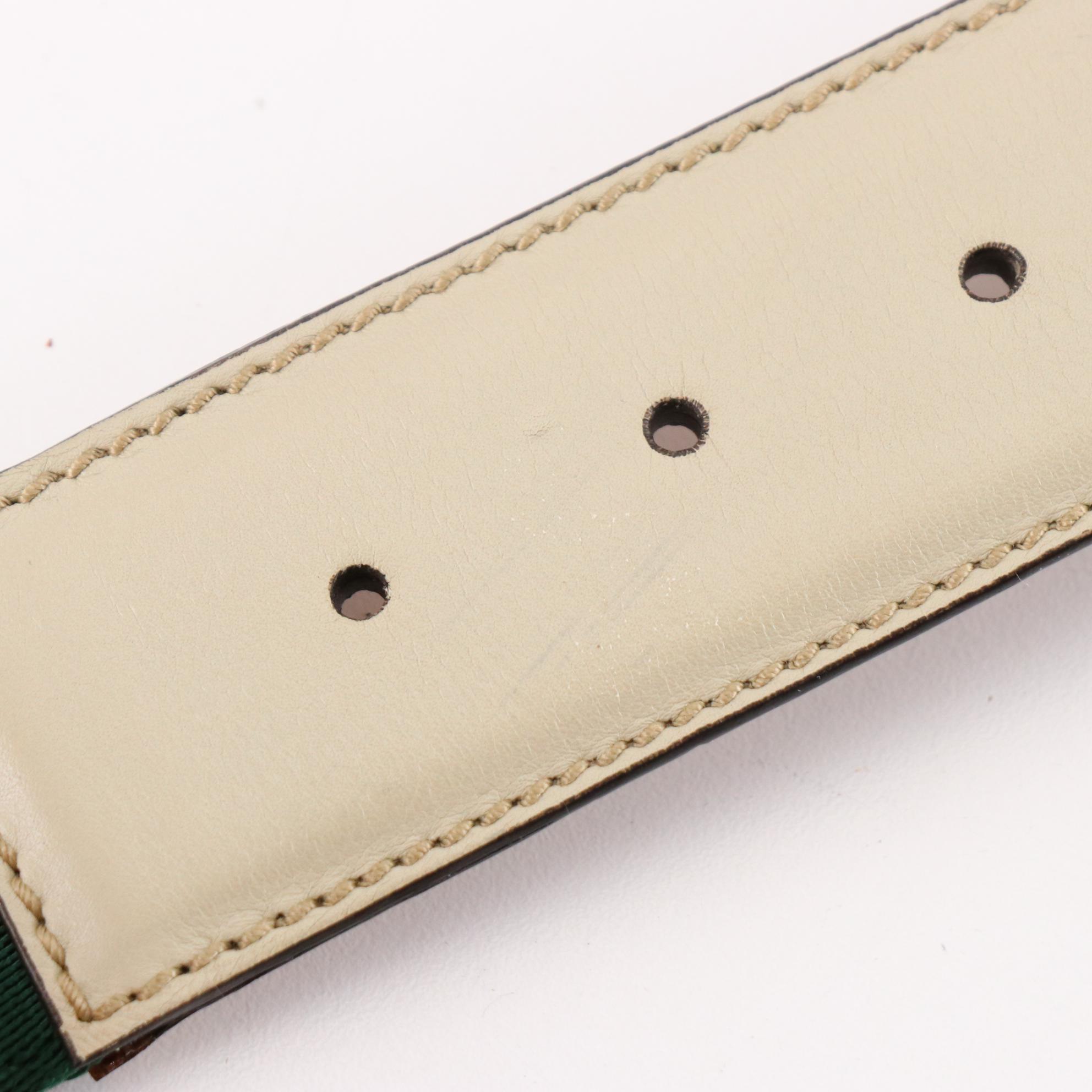 Gucci Web Canvas and Leather Belt