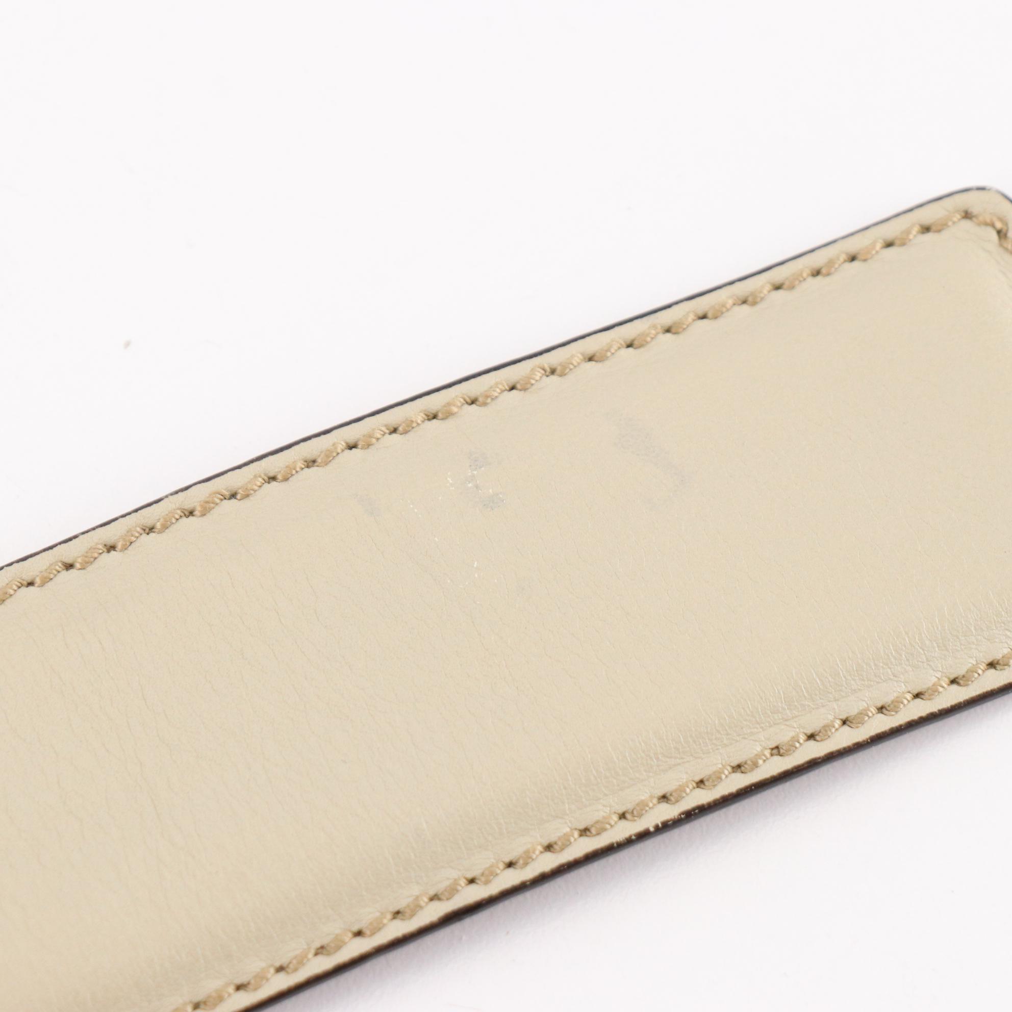 Gucci Web Canvas and Leather Belt