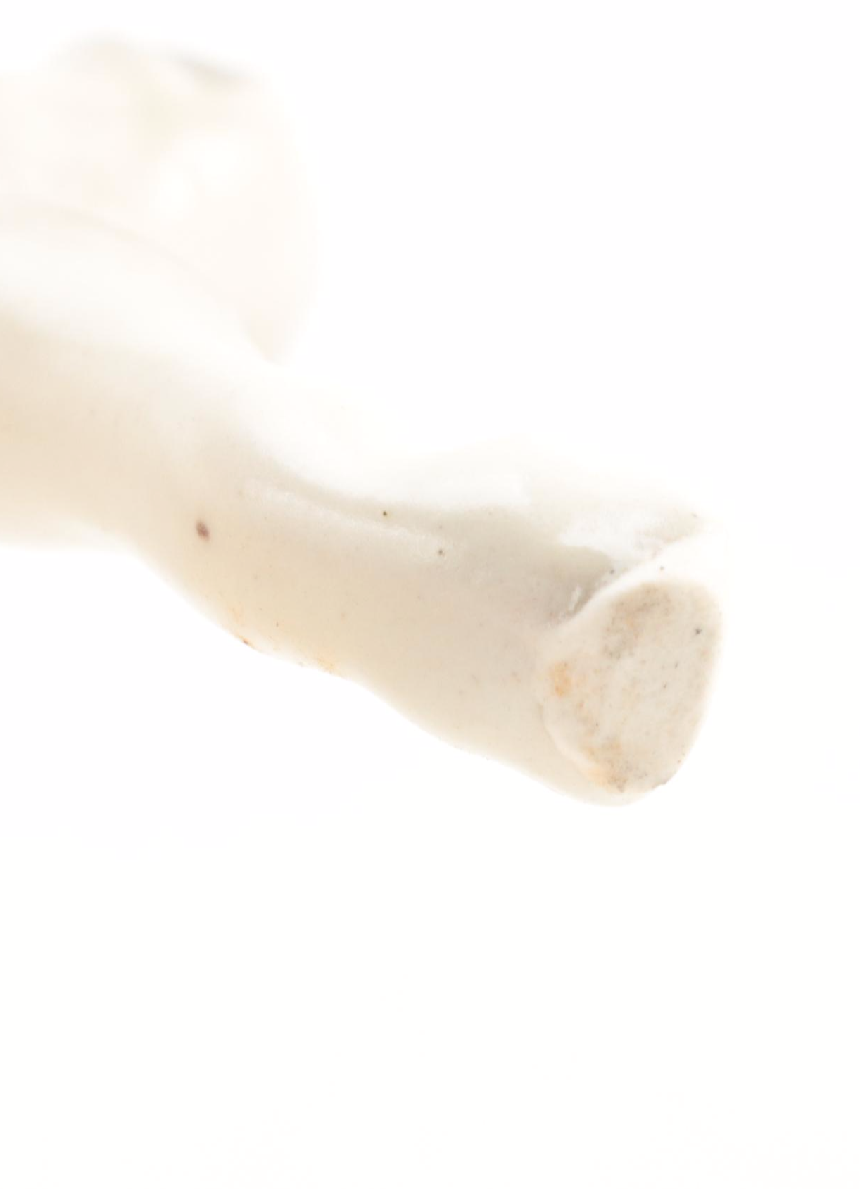 Victoria Ceramics Horse Shakers with Other Souvenir Shakers, Mid to Late 20th