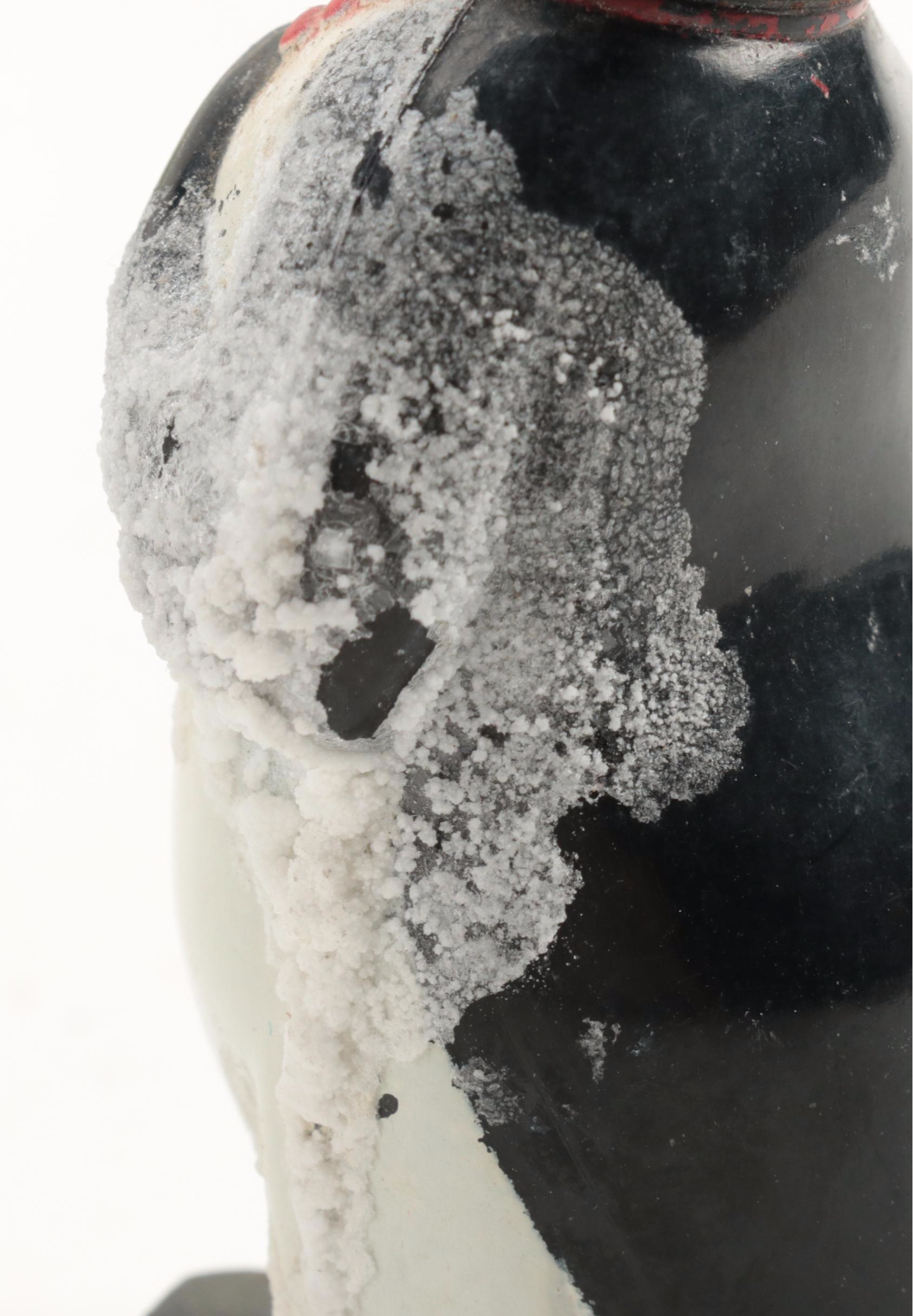 Victoria Ceramics Horse Shakers with Other Souvenir Shakers, Mid to Late 20th