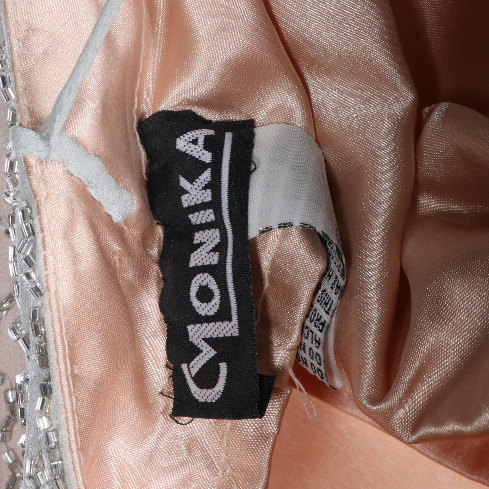 Monika Beaded Silk Gown with Other Fringe Bodice A-Line Dress