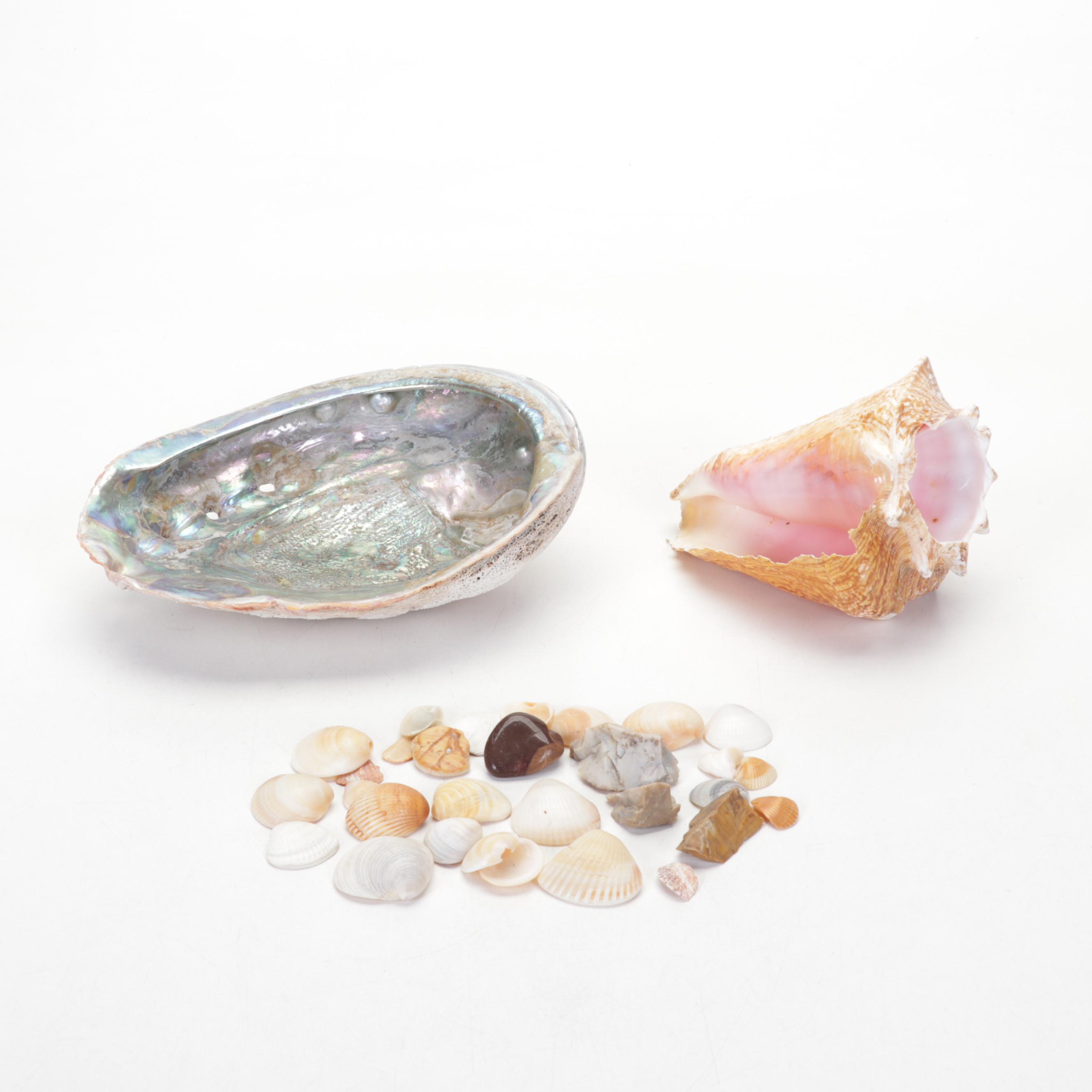 Copper and Enamel Flower Sculpture With Artist Signed Vase, Shells & Figurines