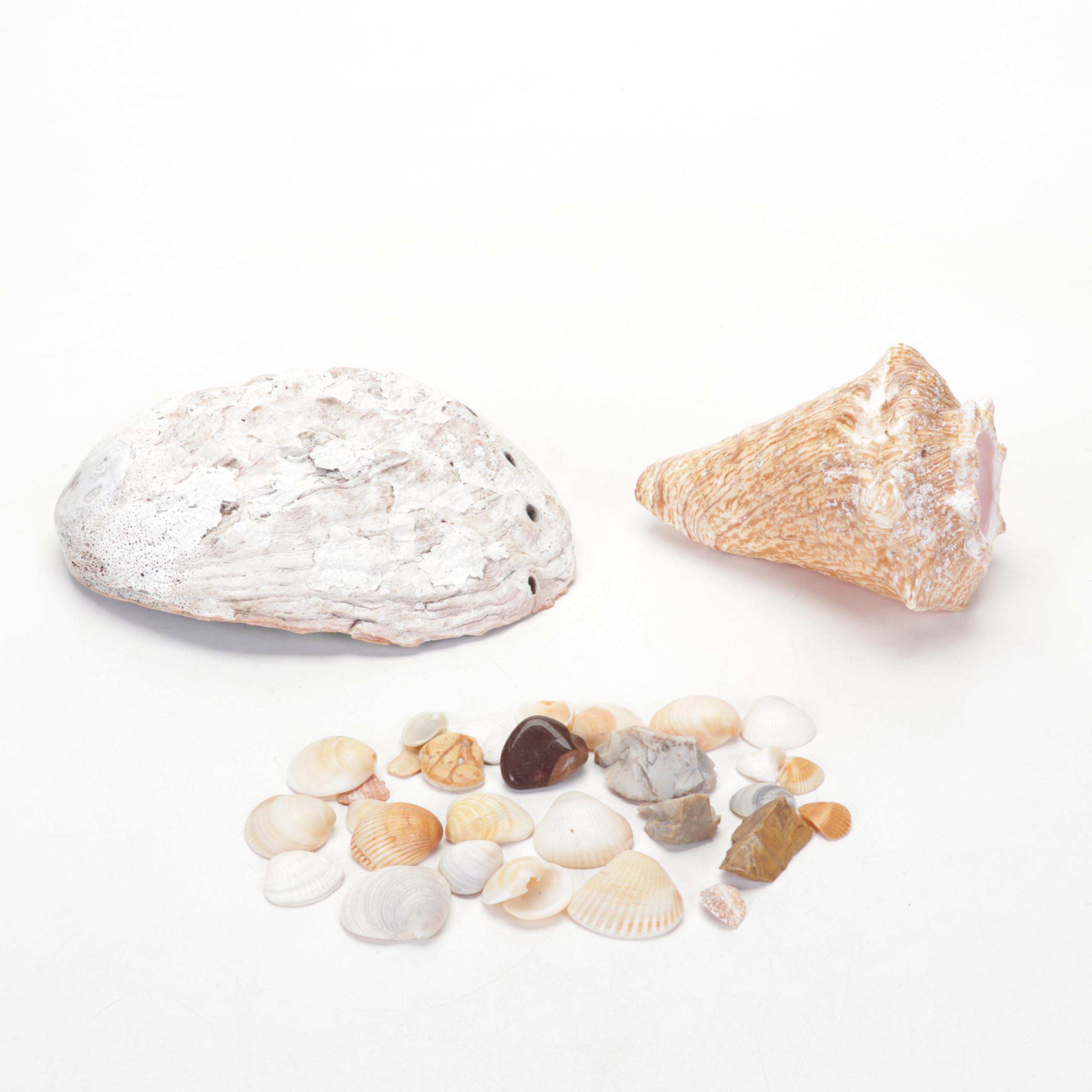 Copper and Enamel Flower Sculpture With Artist Signed Vase, Shells & Figurines