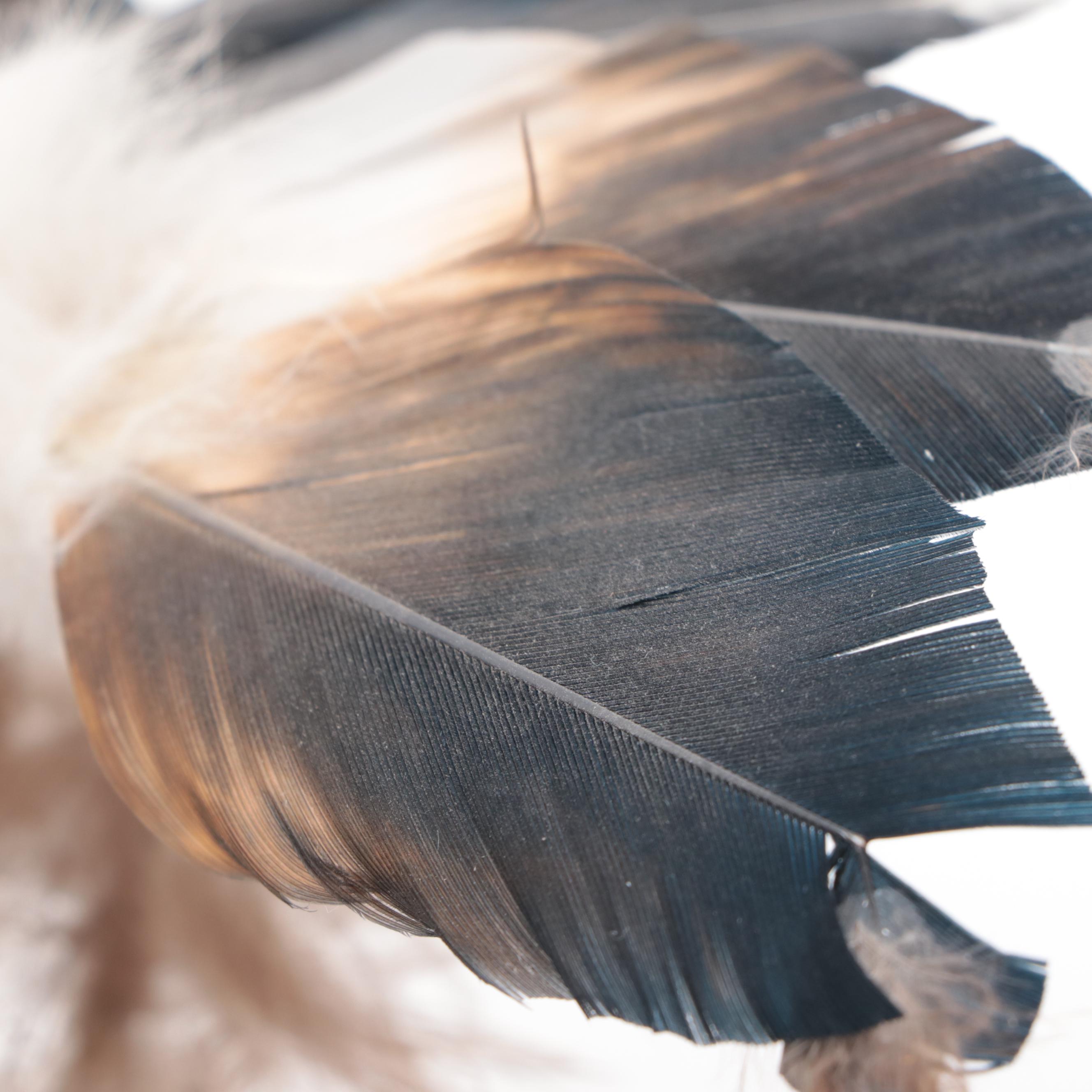 R. Jean Hopi Kachina Figure "Eagle," Late 20th Century