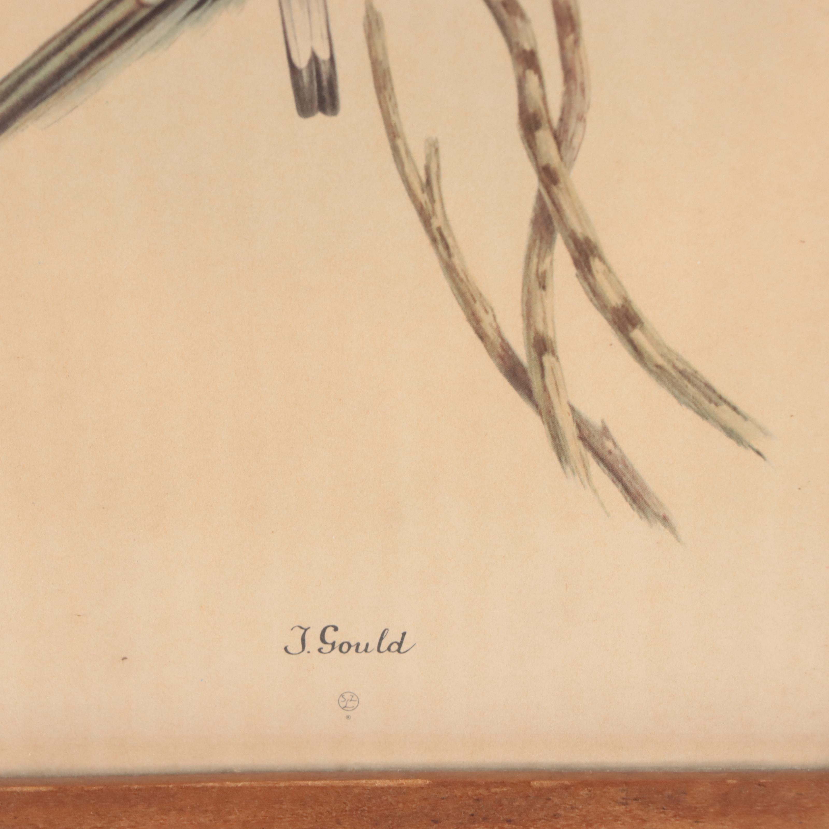 Offset Lithographs After John Gould and Pierre-Joseph Redouté