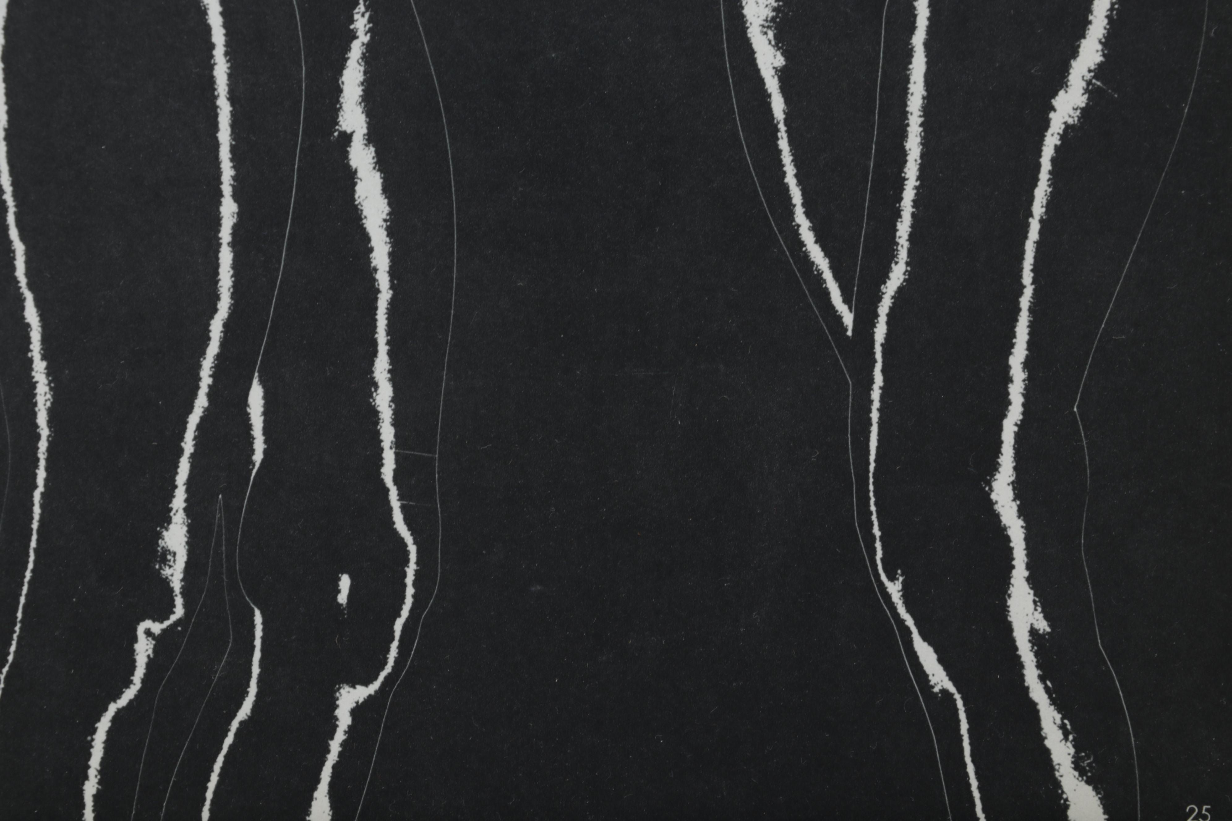 Ferenc Berkó Rotogravures From "Le Nu International," 1954