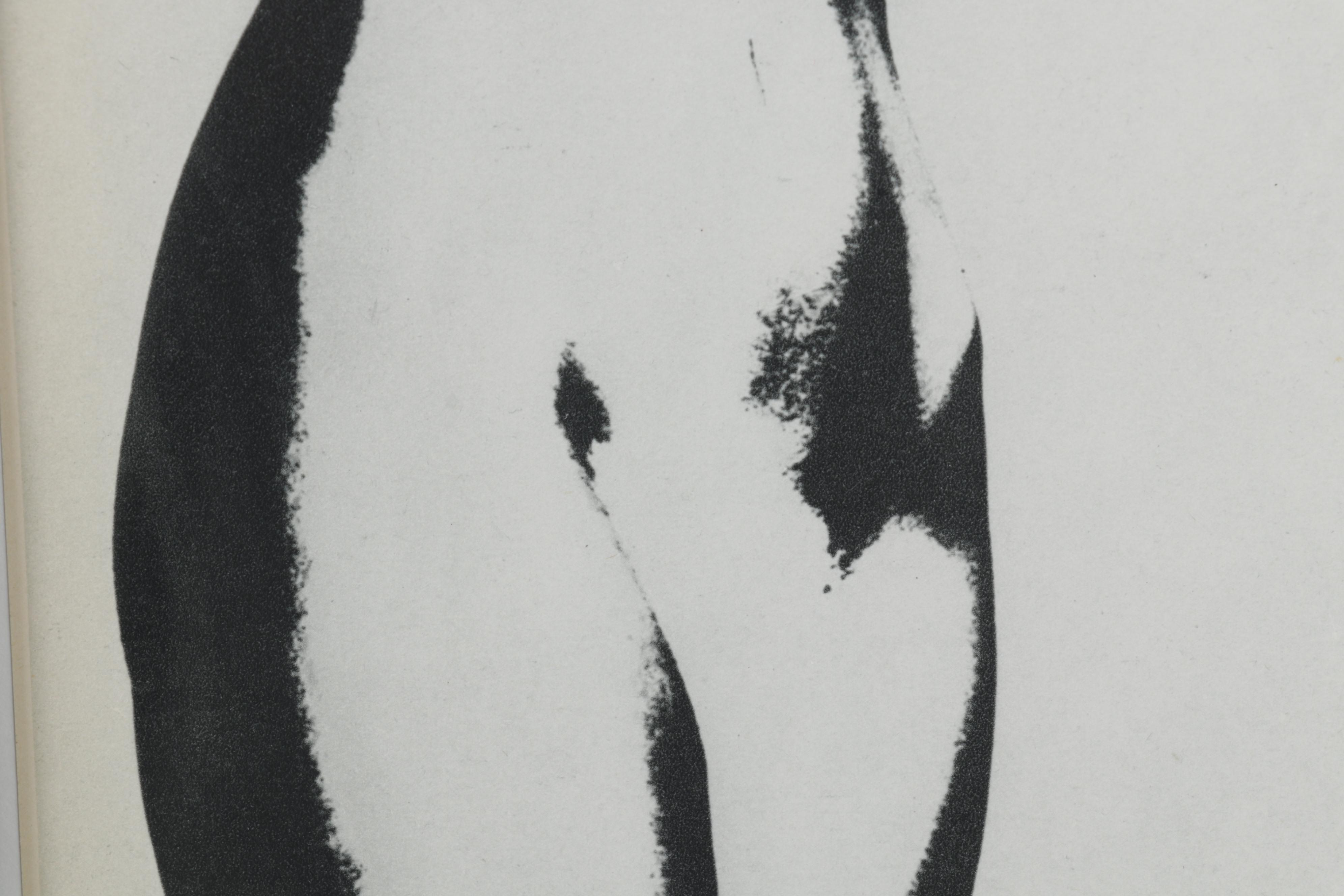 Ferenc Berkó Rotogravures From "Le Nu International," 1954