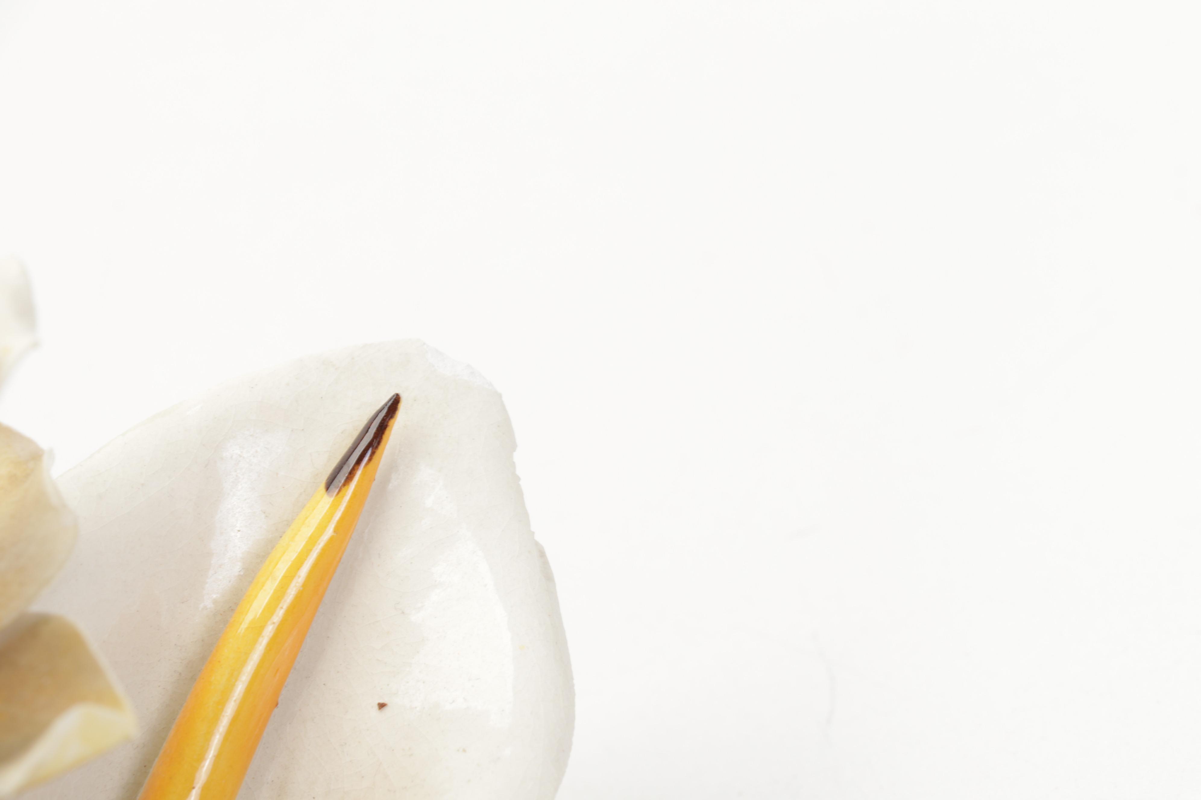 Napcoware "Snowy Egret" Porcelain Figurine and Other Decor