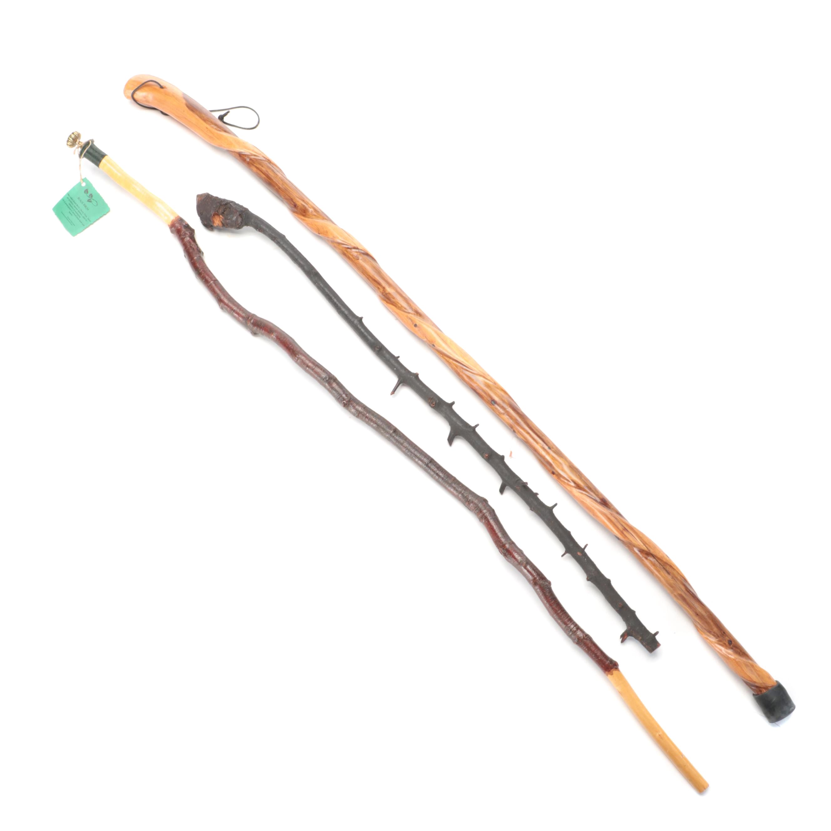 Handcrafted Black Birch Walking Stick with Other Wood Walking Sticks